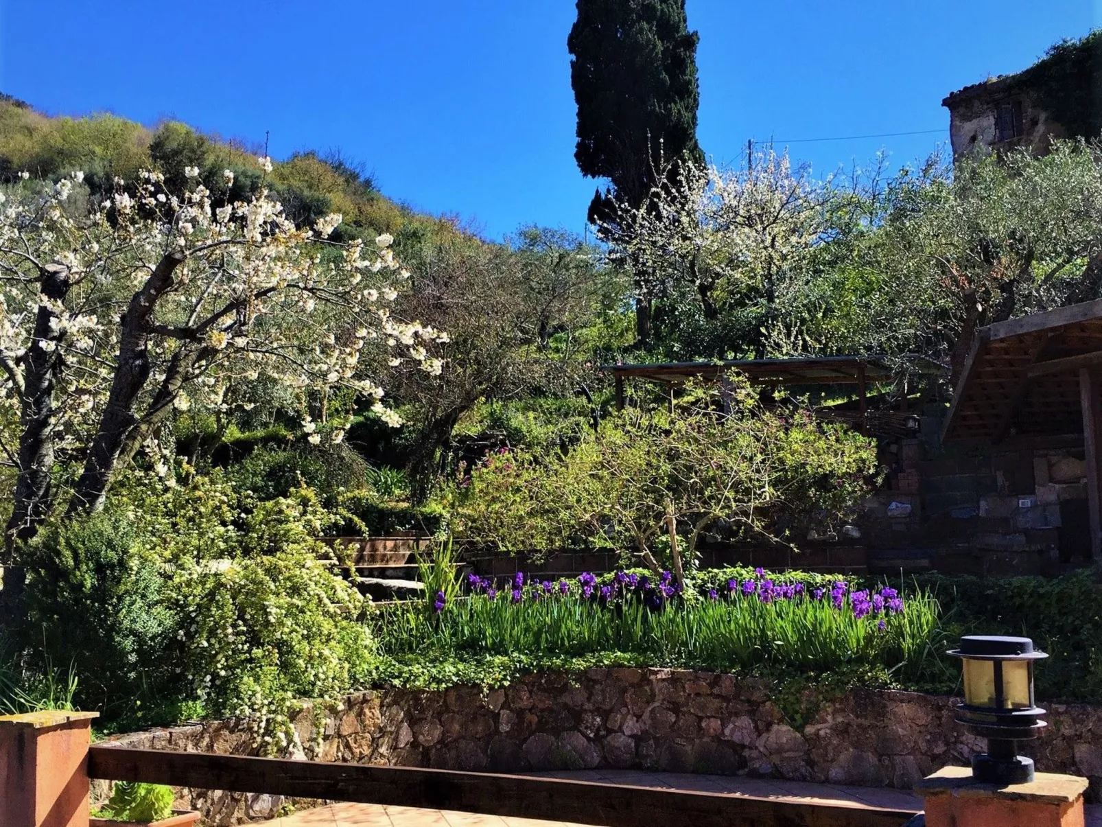 Orange Wohnung-Buiten