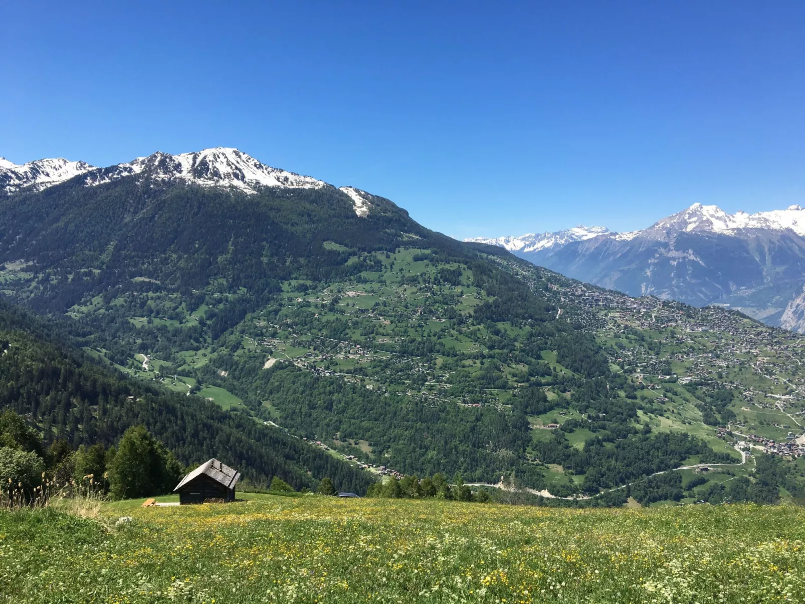 Alm Mayen im Wallis von 1904-Buiten