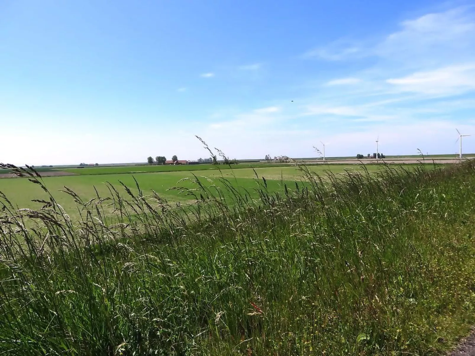 Zand en Zon in Stavenisse-Buiten