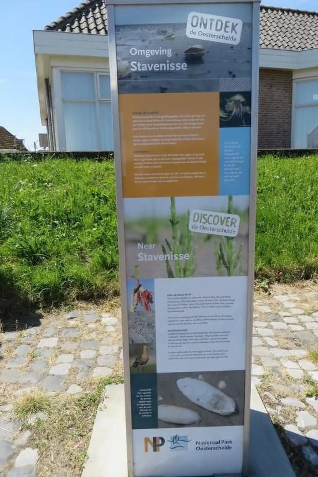 Gemütliches Vier-Personen-Bungalow mit Überdachung-Buiten