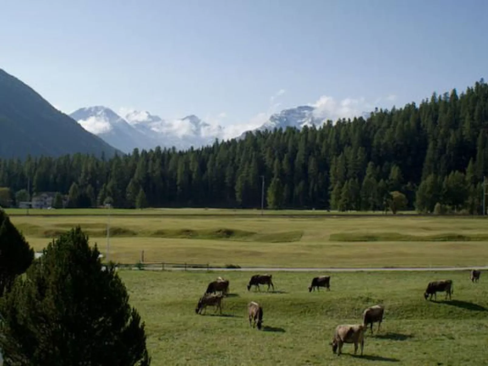 Chesa Bellavista-Binnen