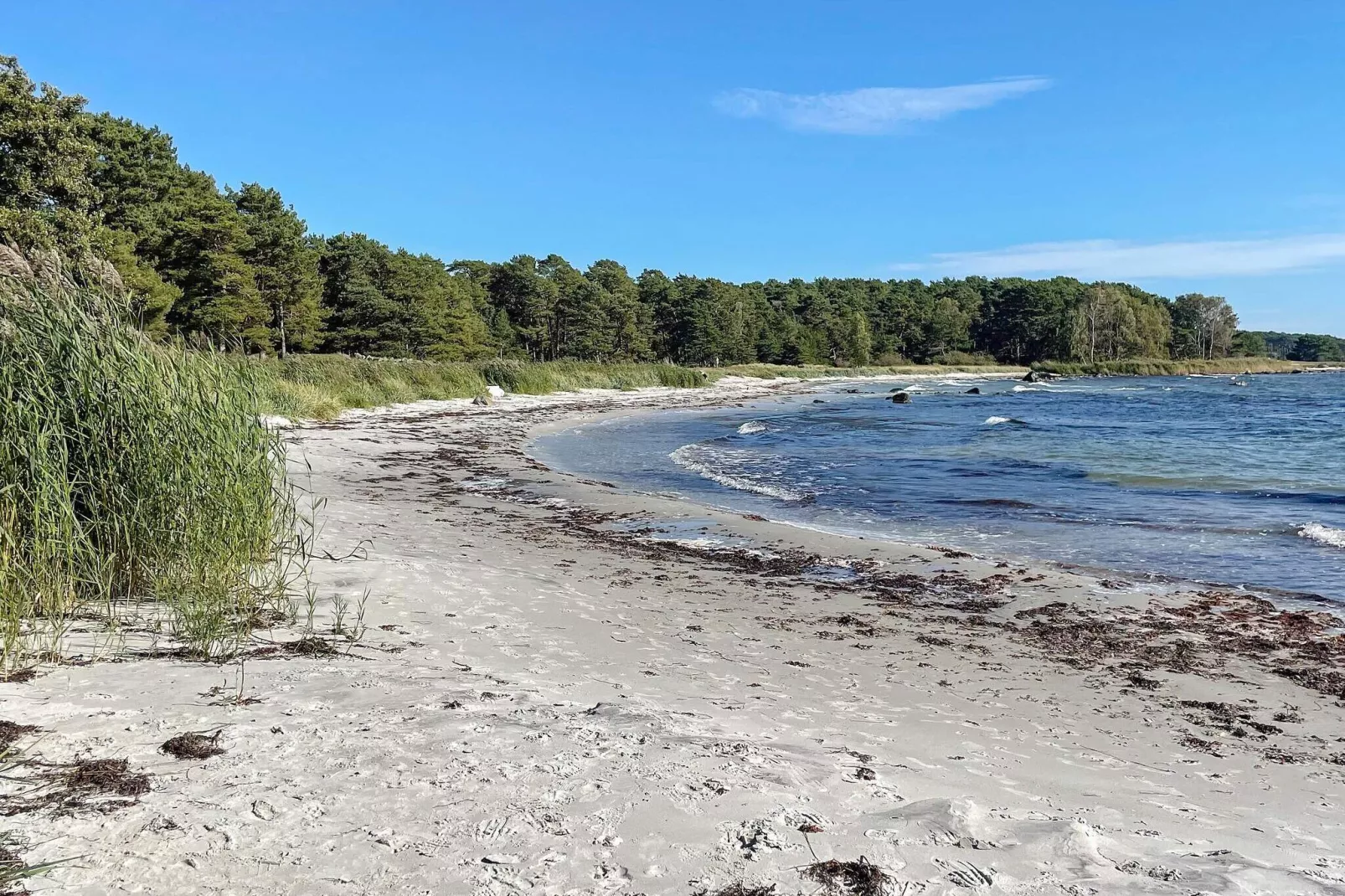 4 sterren vakantie huis in SÖLVESBORG-Buitenlucht