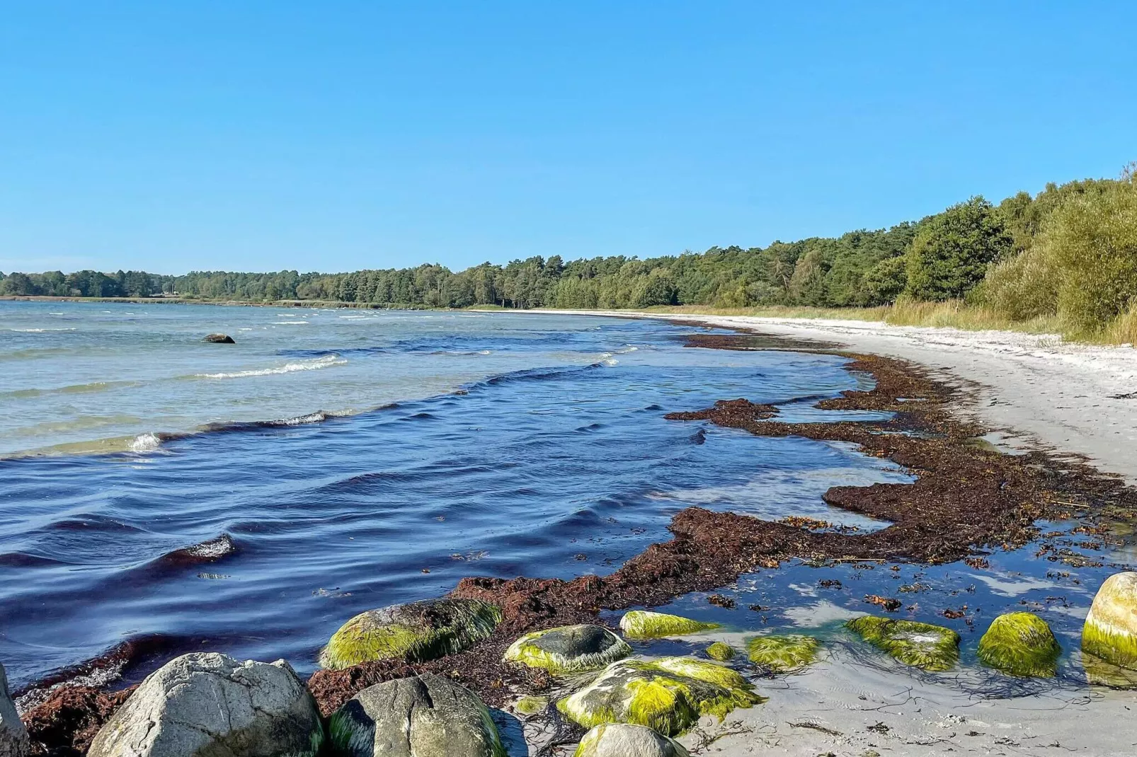 4 sterren vakantie huis in SÖLVESBORG-Buitenlucht