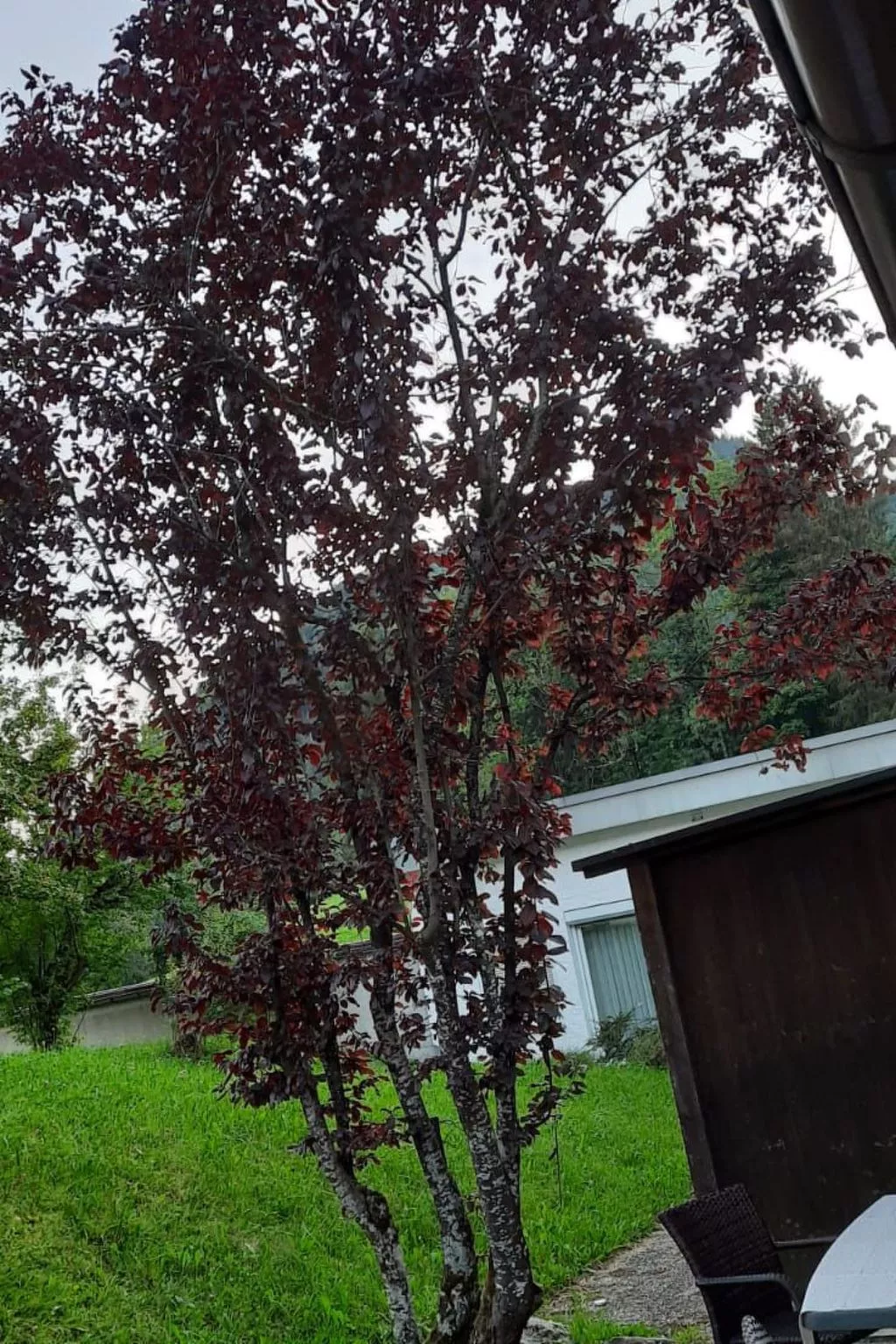 Sport Alpin Wh 10-Binnen