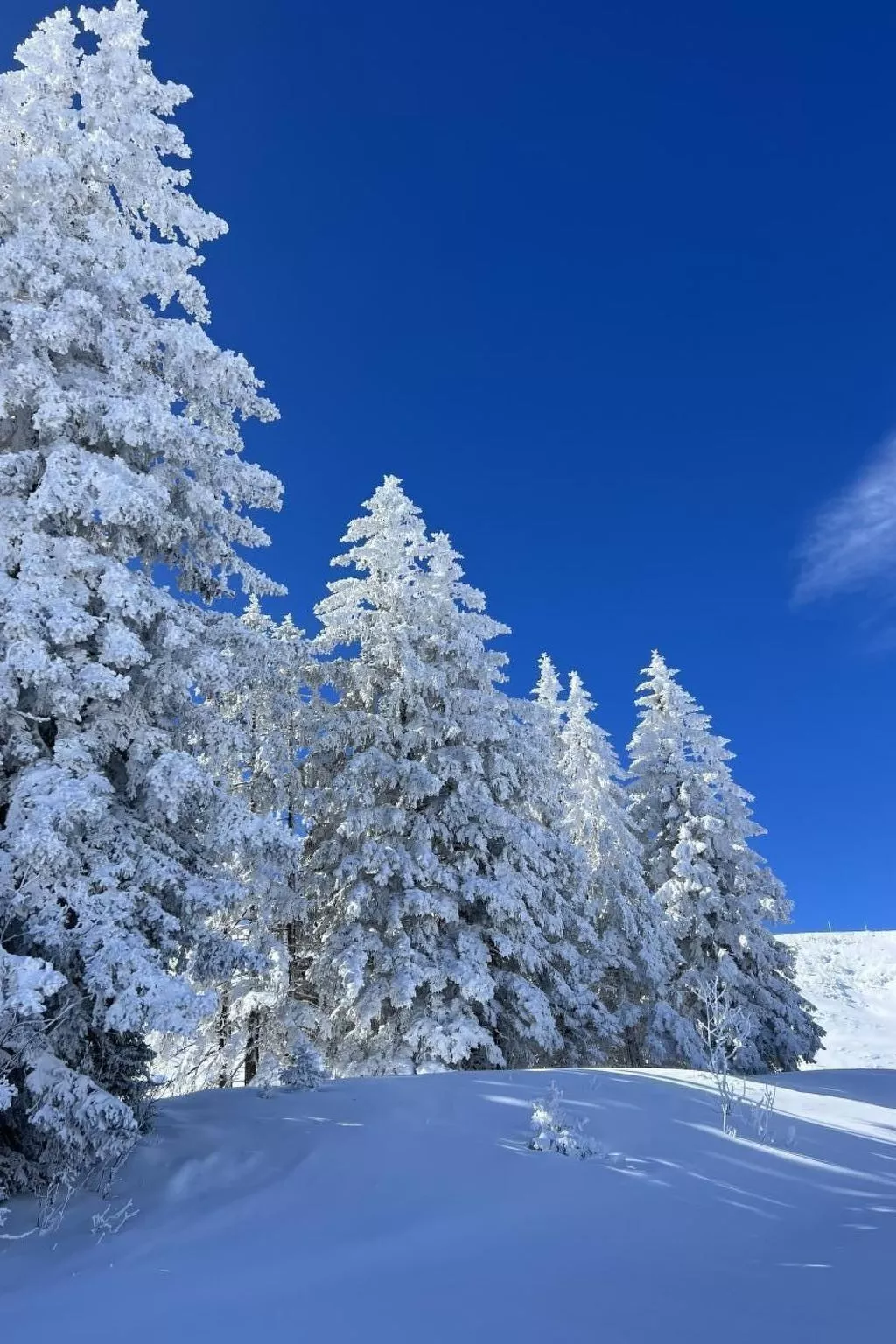 Berg-Ferienwohnung  im Chalet  Zirbeli-Image-tags.info