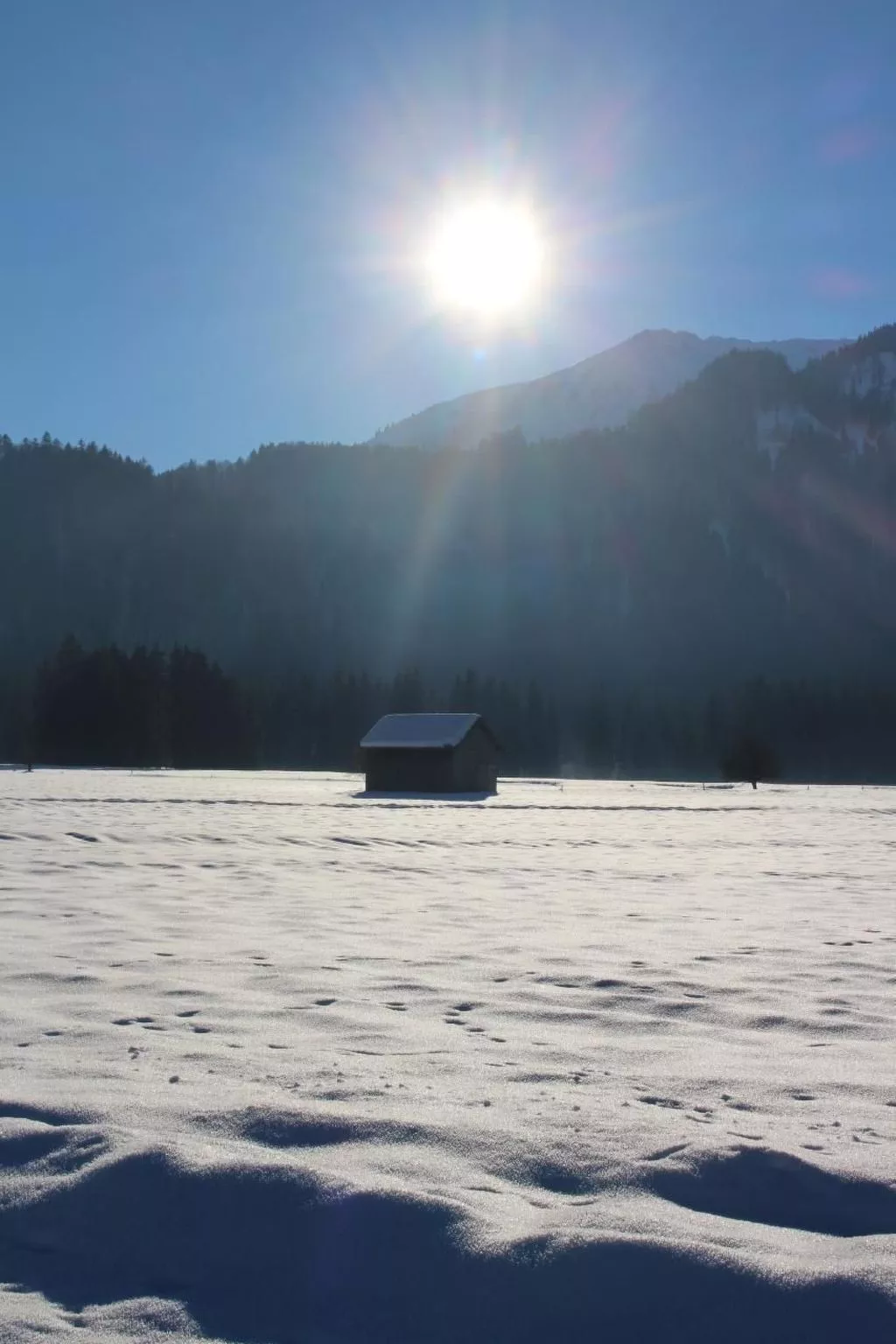 Alpkönigin - Buiten