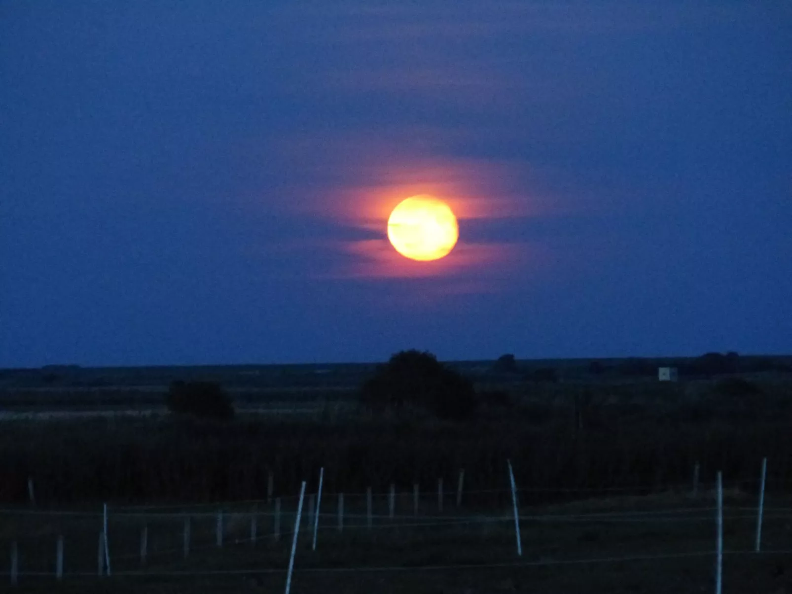 Appartement mit eigenem Parkplatz-Buiten