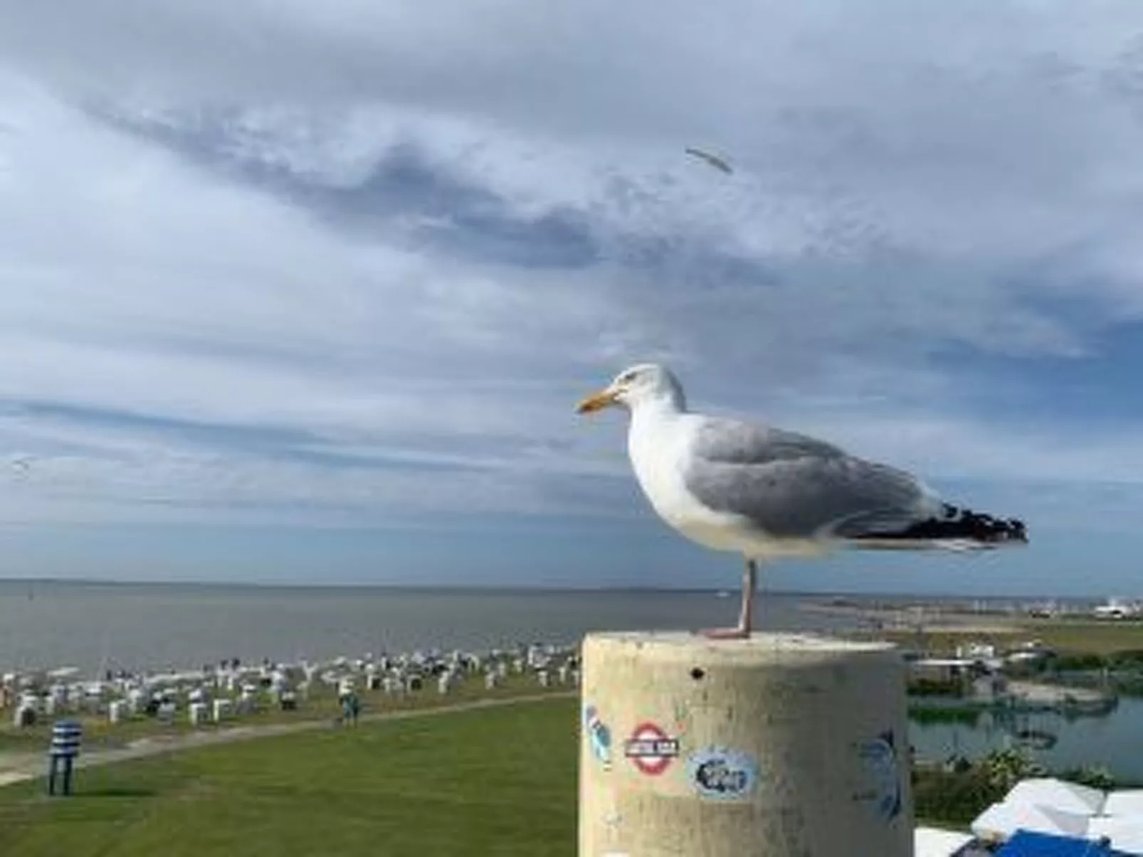 Schatztruhe-Image-tags.info