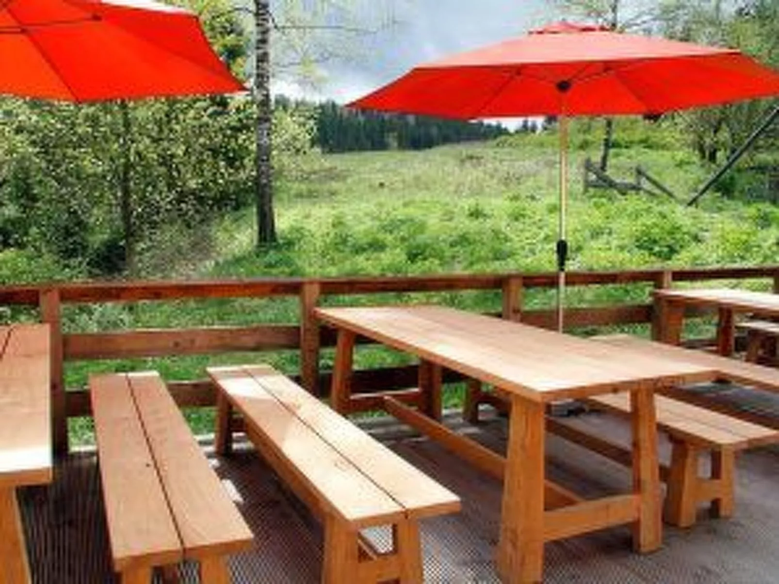 Urgemütliche Gruppenhütte mit Gartensauna-Image-tags.info