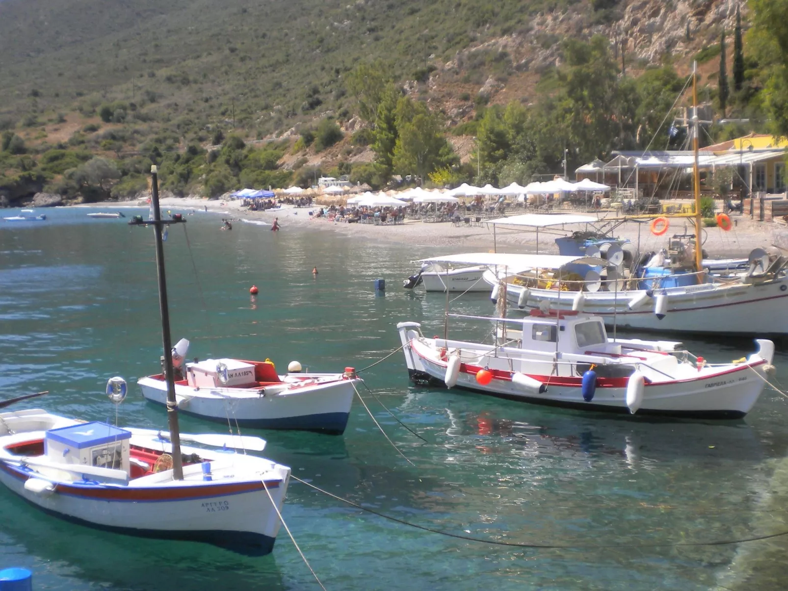 1249147 (copy)-Image-tags.info