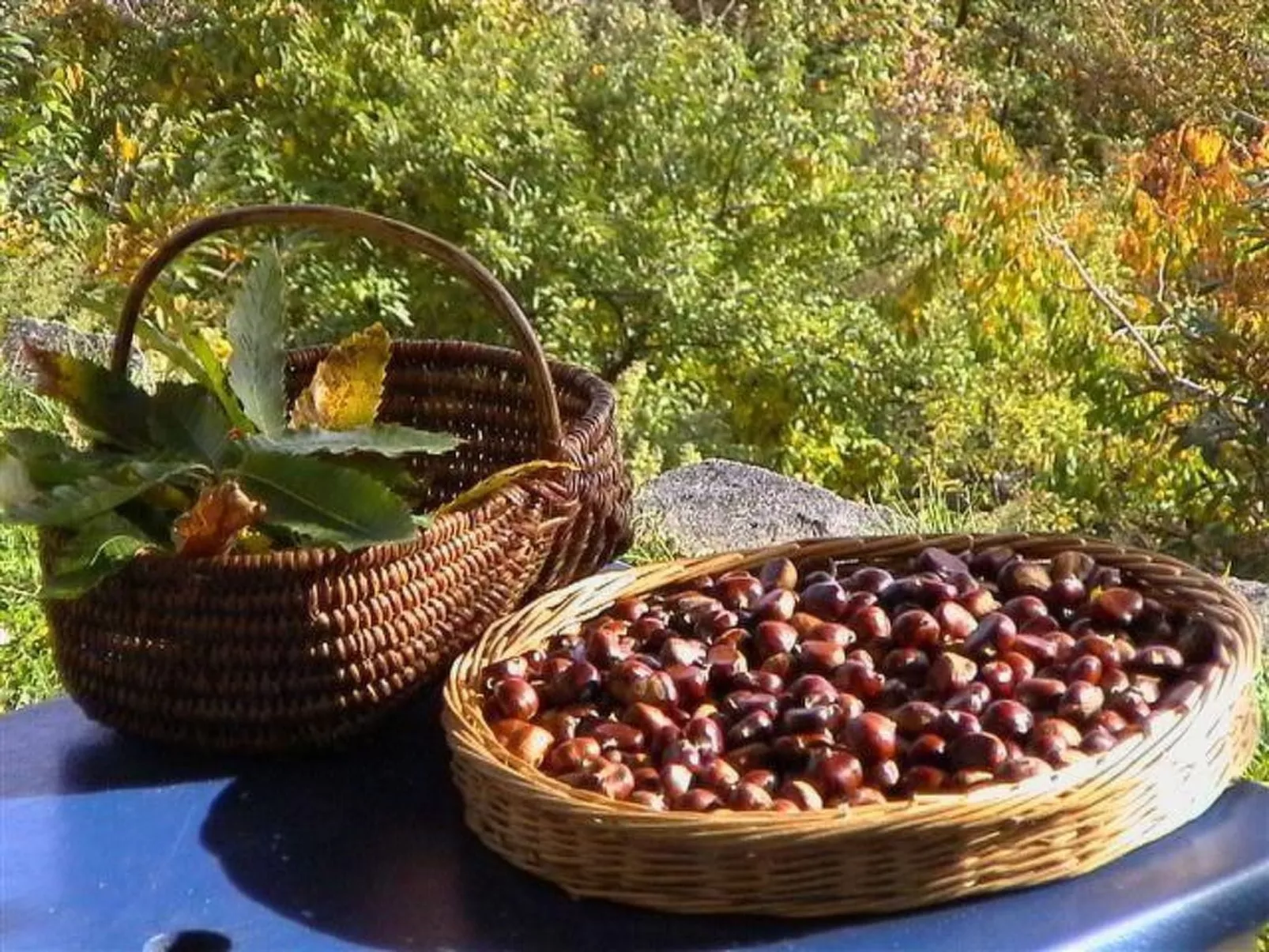 Gîte de Chapelèche Les Genêts-Binnen