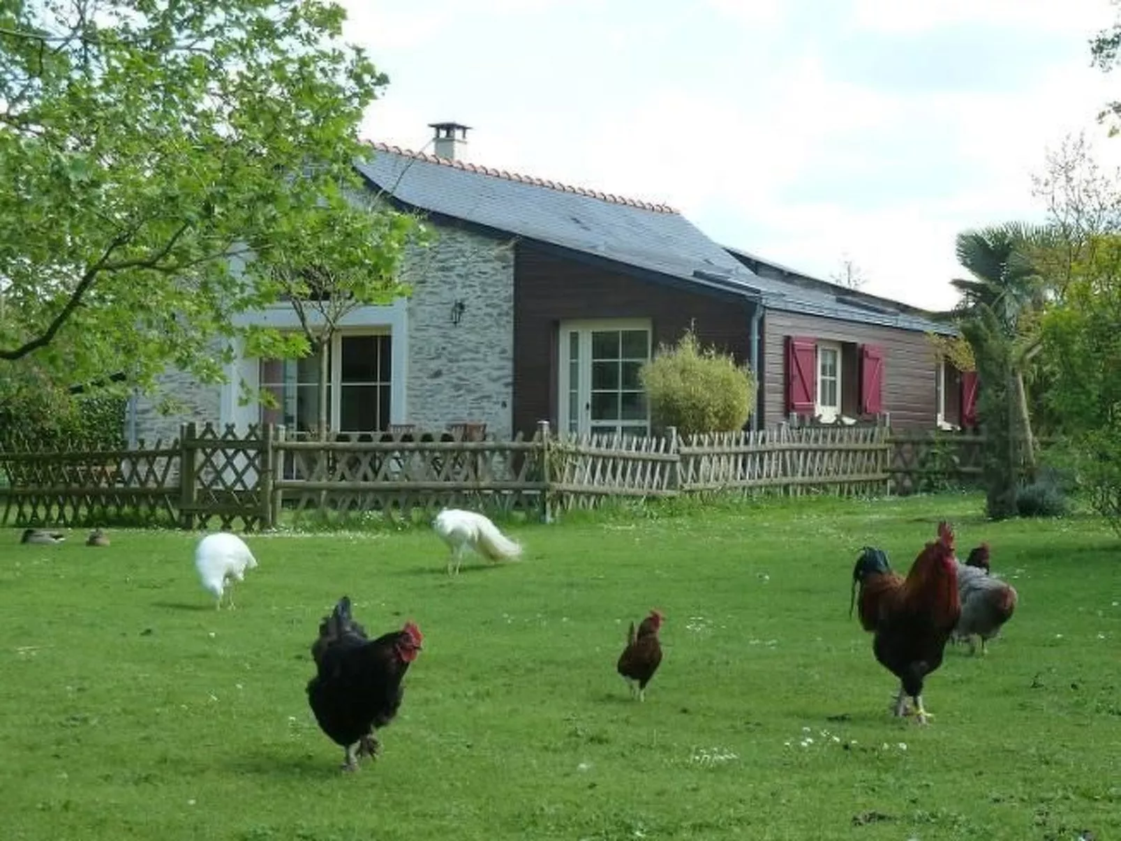 "Au Bas Chalonge Gîte"-Buiten