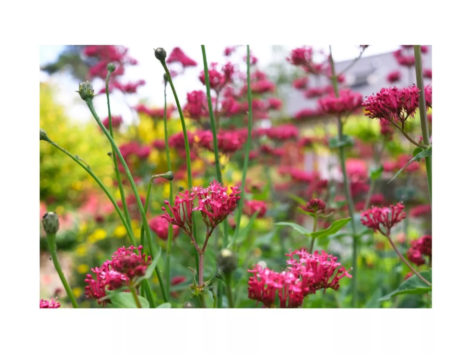 Domäne mit Terrasse-Binnen