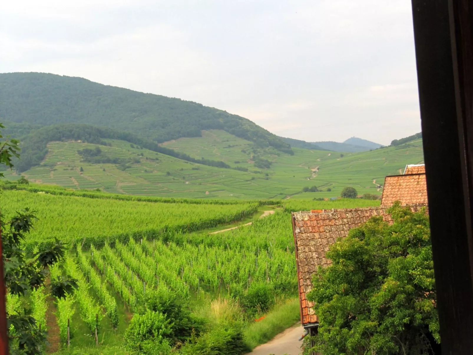 Med-Face Vosges,im Süden,im Herzen der Weinberge,Ruhig,WiFi-Buiten