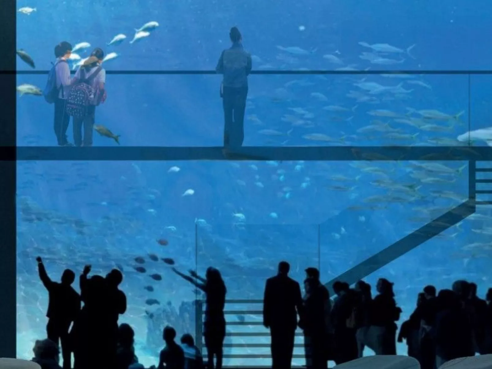 Kleine Wohnung in großem Familienhaus-Buiten