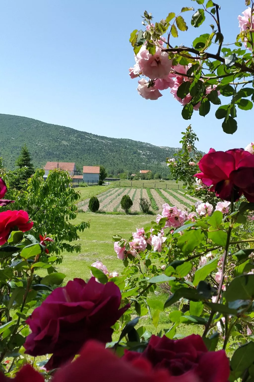 Anwesen "Villa Almas, Sauna, Fitnessraum, Multisport