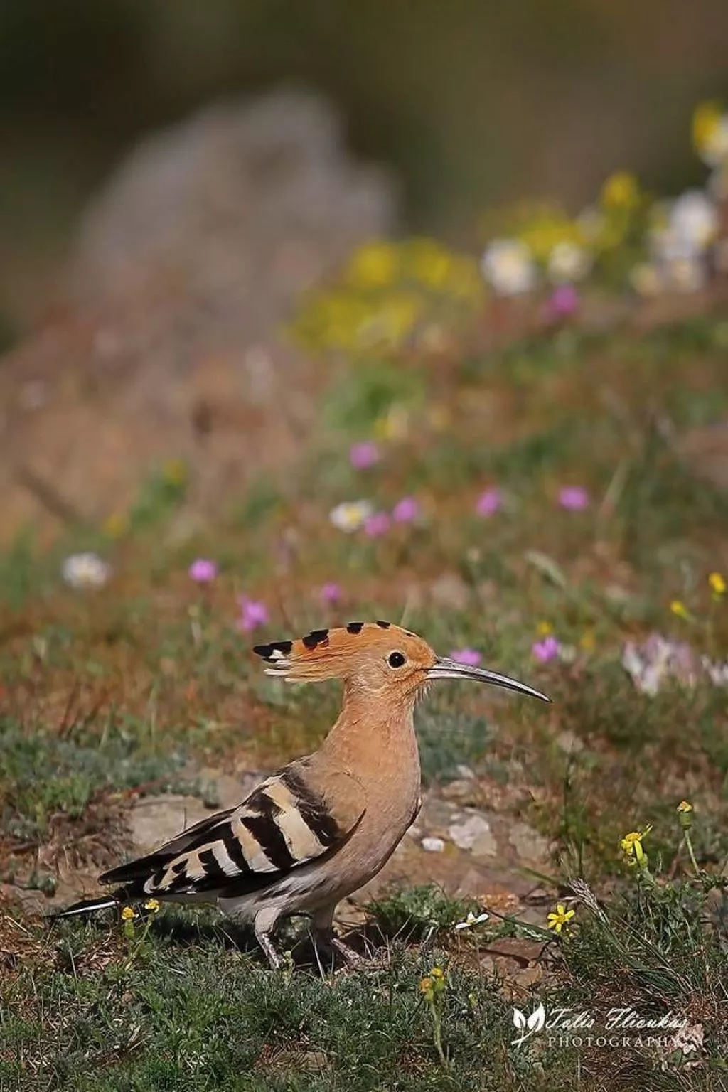 Charmante Villa mit Meerblick - 300m. vom Strand entfernt-Binnen