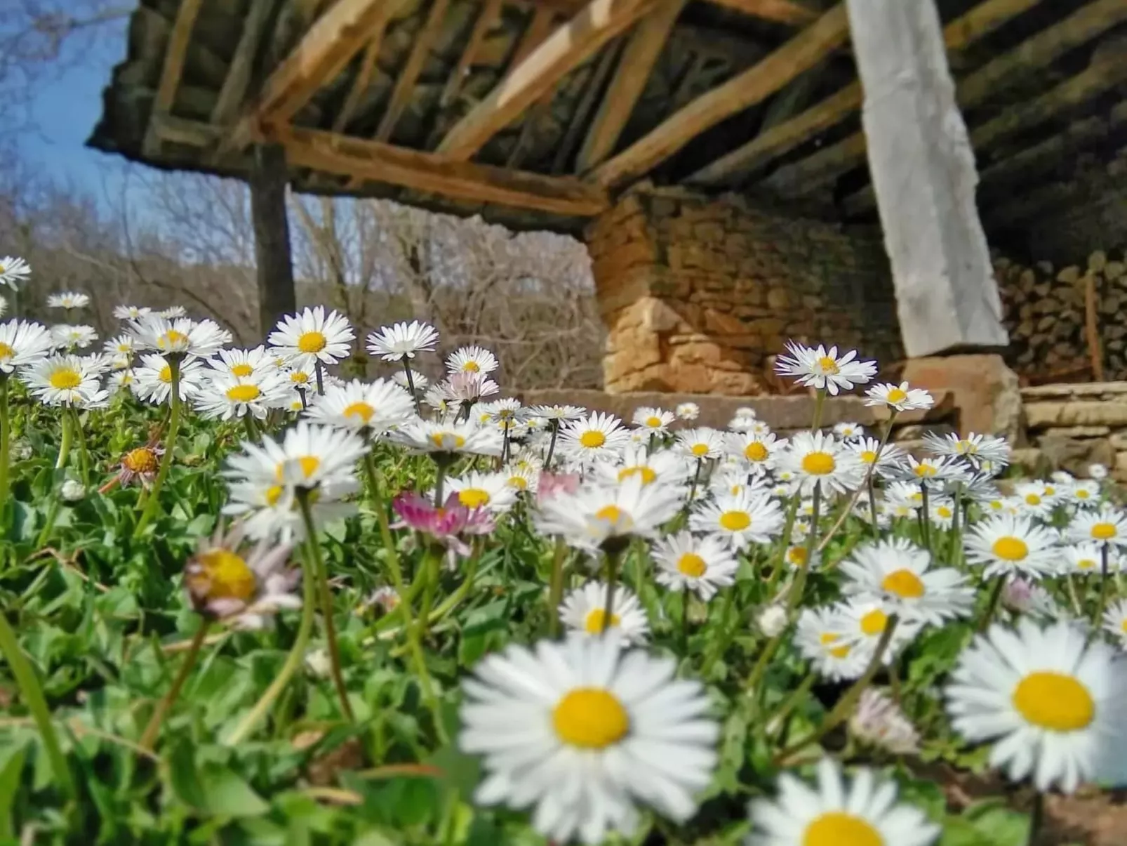 Authentisches Haus mit Bergblick - Karashka-Image-tags.info