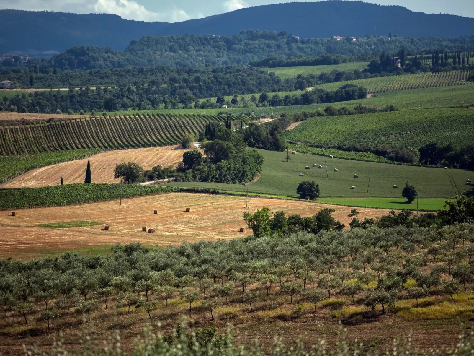 "Loggetta Sanguineto-Image-tags.info