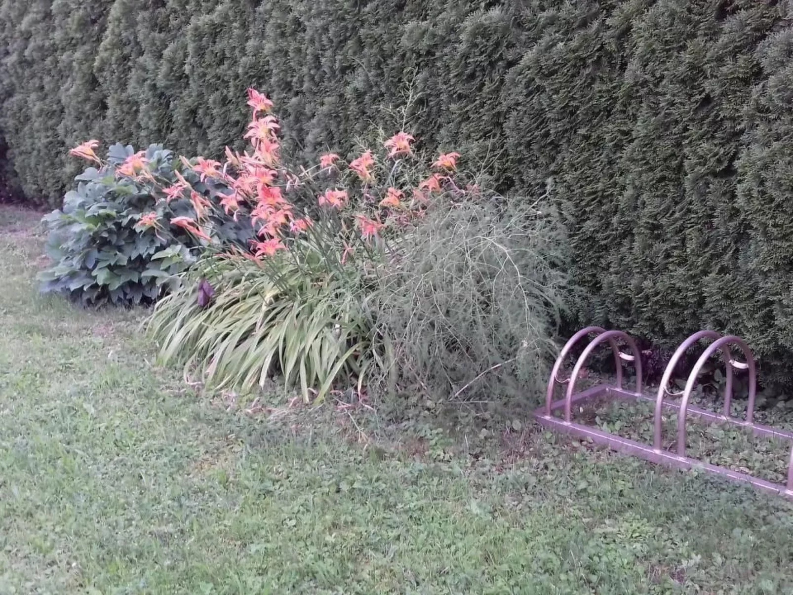 Klimatisiertes Ferienhaus in Bükfürdö mit Garten-Binnen