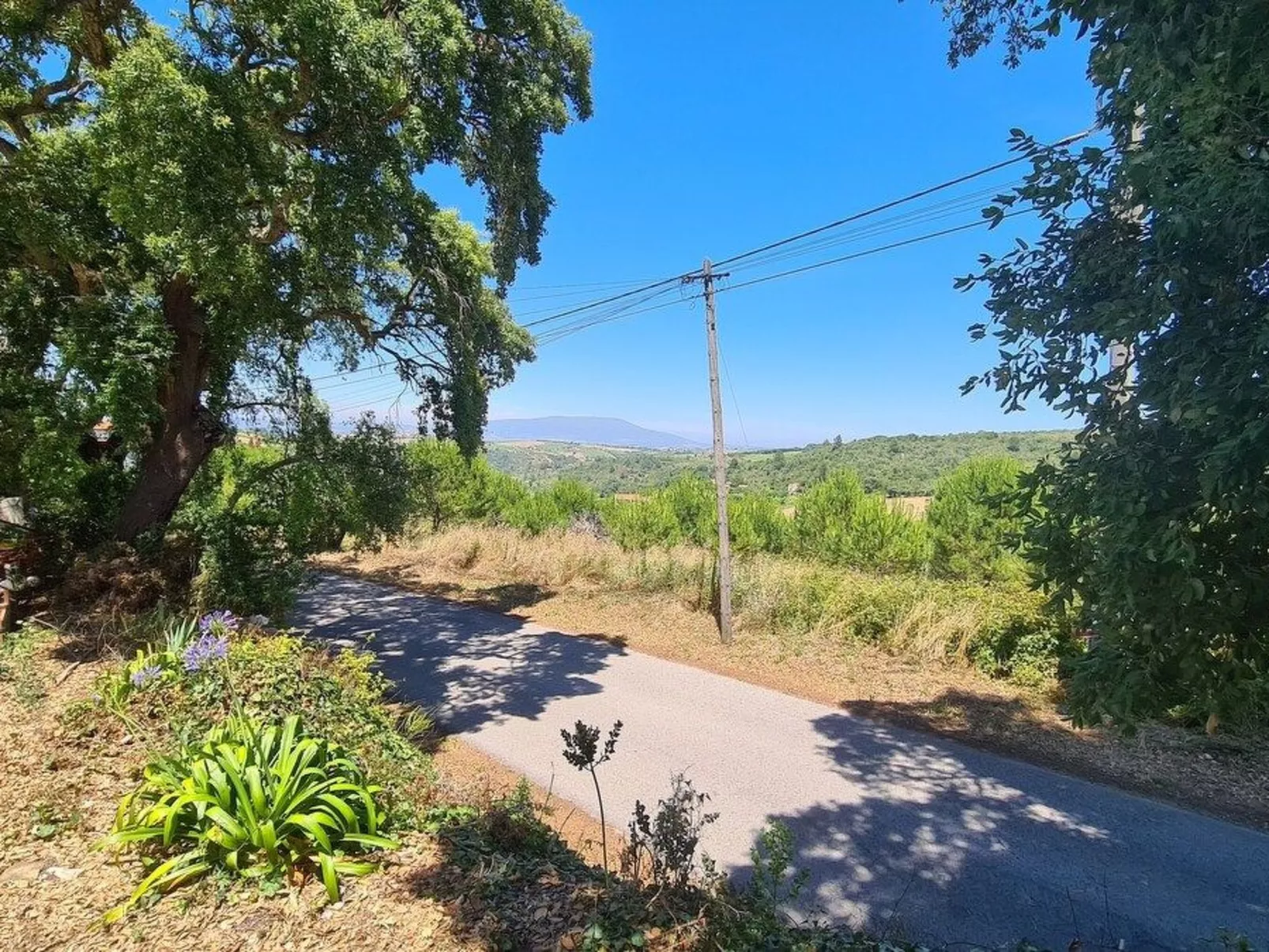 Haus in einem Bauernhof zwischen Weinbergen 2-Buiten