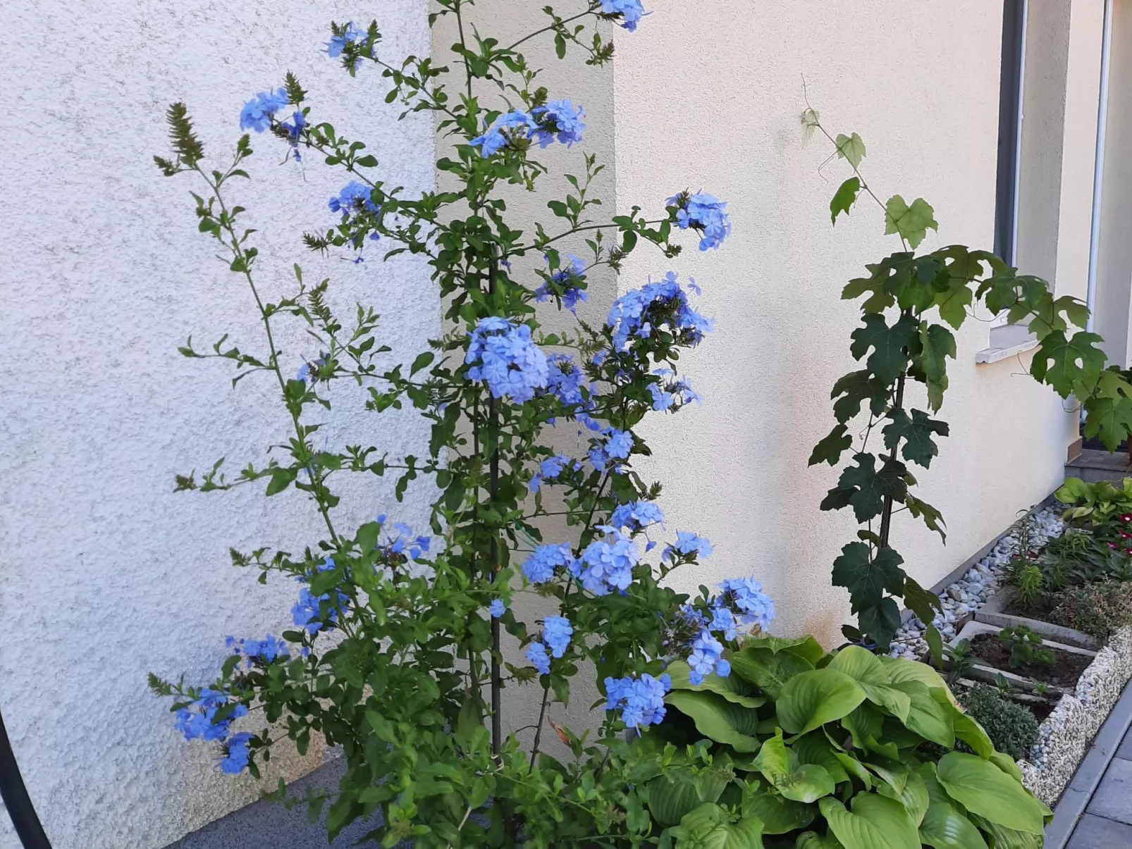 In Bük im Parterre mit Garten-Binnen