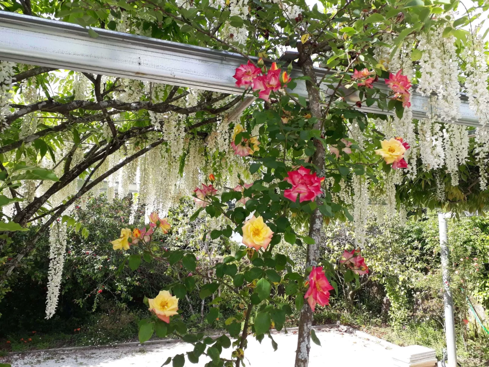 Quinta D'Avó Amélia, wunderschönes Landhaus zwischen den Bergen und dem Meer-Buiten