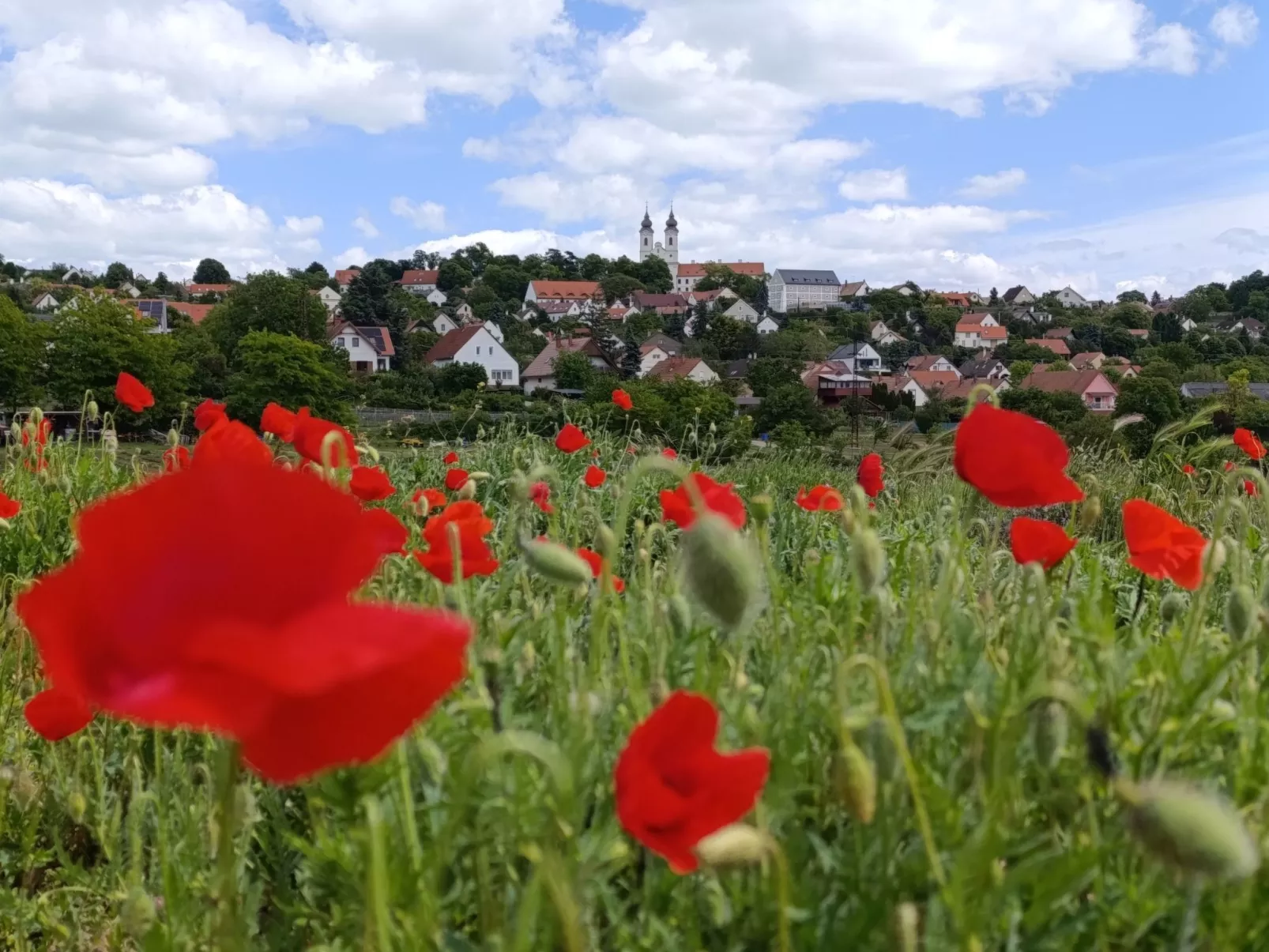 Ferienwohnung-Binnen