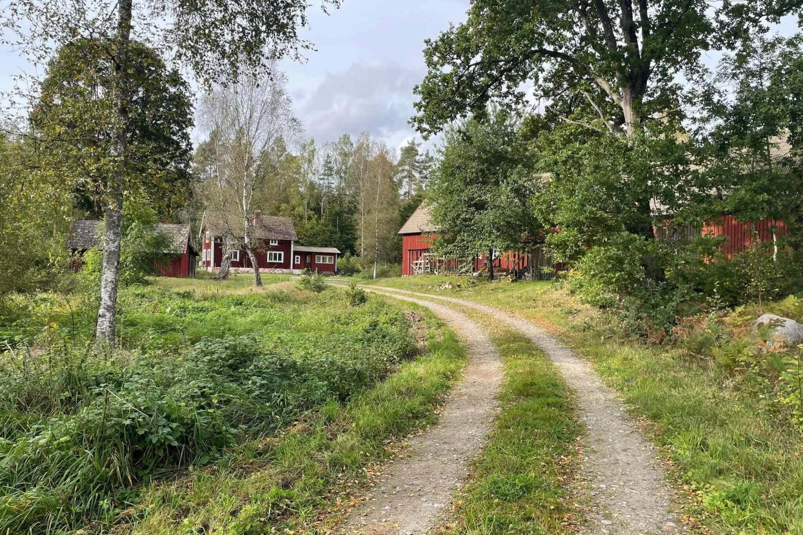 6 persoons vakantie huis in ASARUM