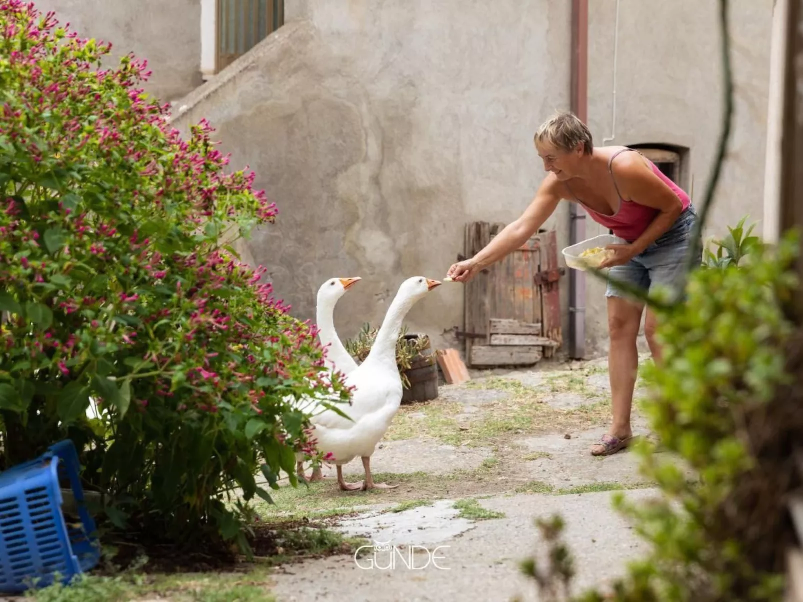 Das Bauernhaus - La Casa Contadina-Image-tags.info