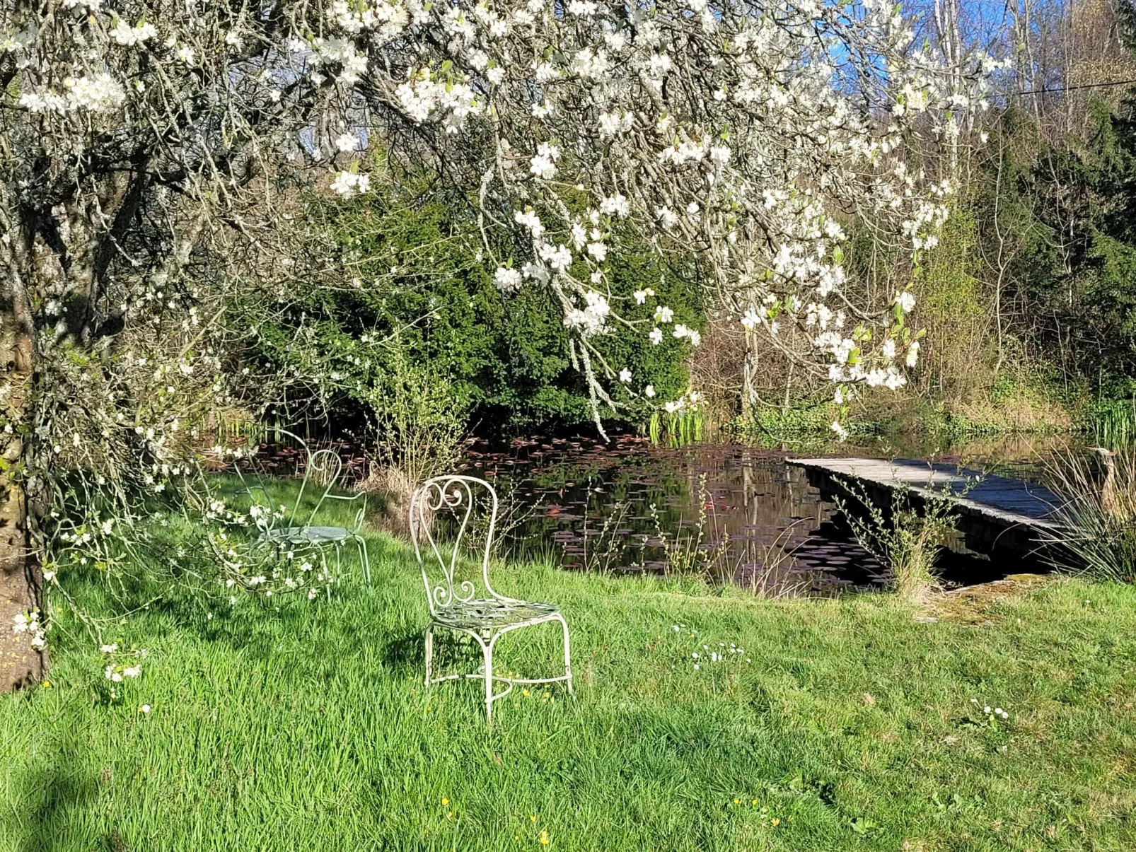 Renoviertes Ferienhaus in der Nähe von Cabourg-Deauville-Lisieux-Buiten