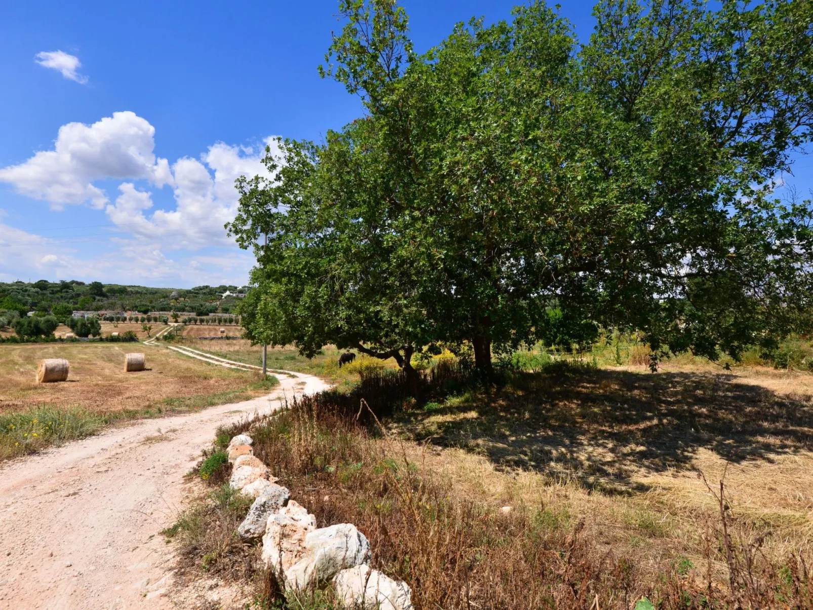 Antike Villa mit privatem Pool, Spa und türkischem Bad-Binnen