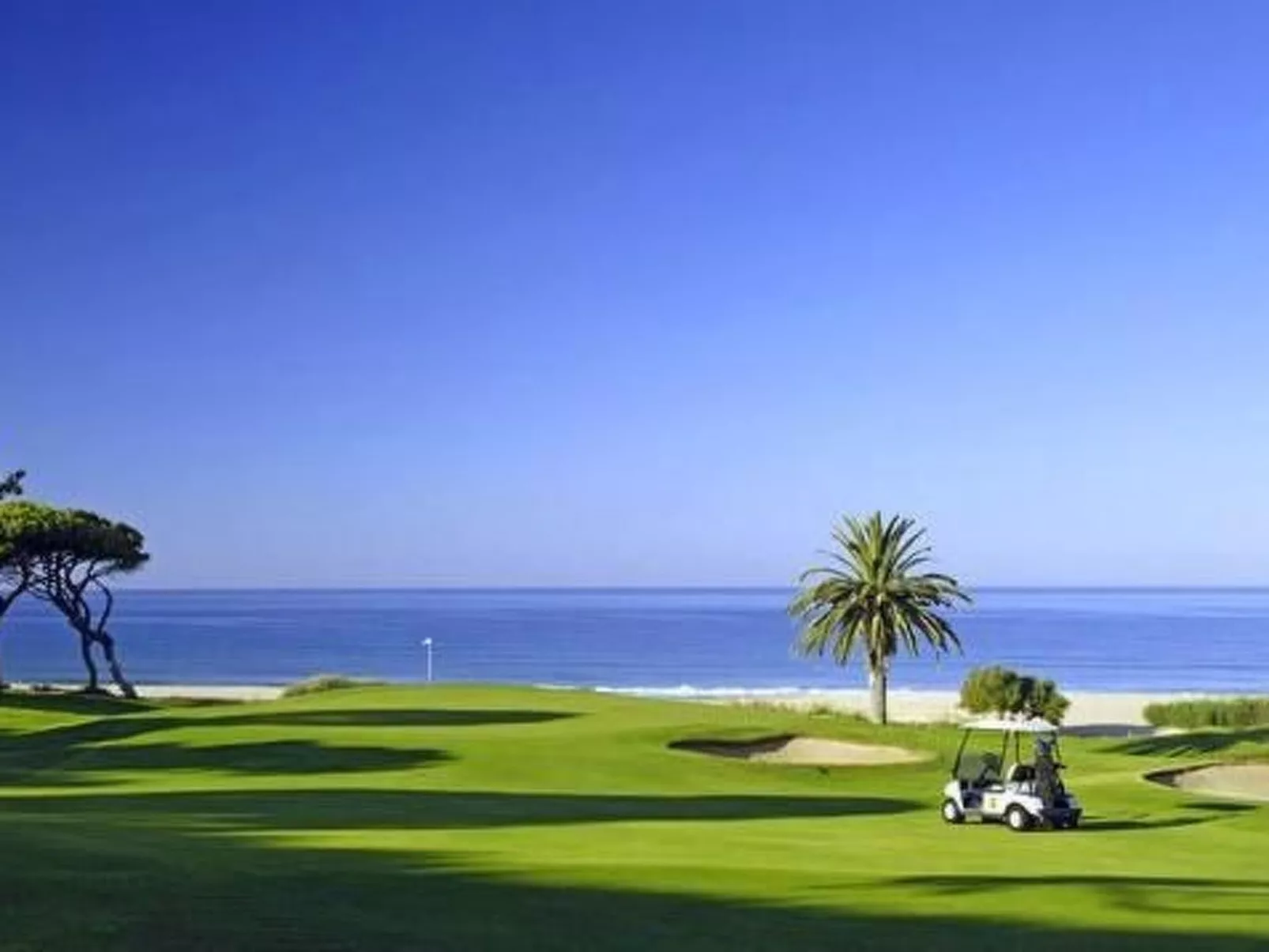 Wohnung mit Terrasse-Image-tags.info