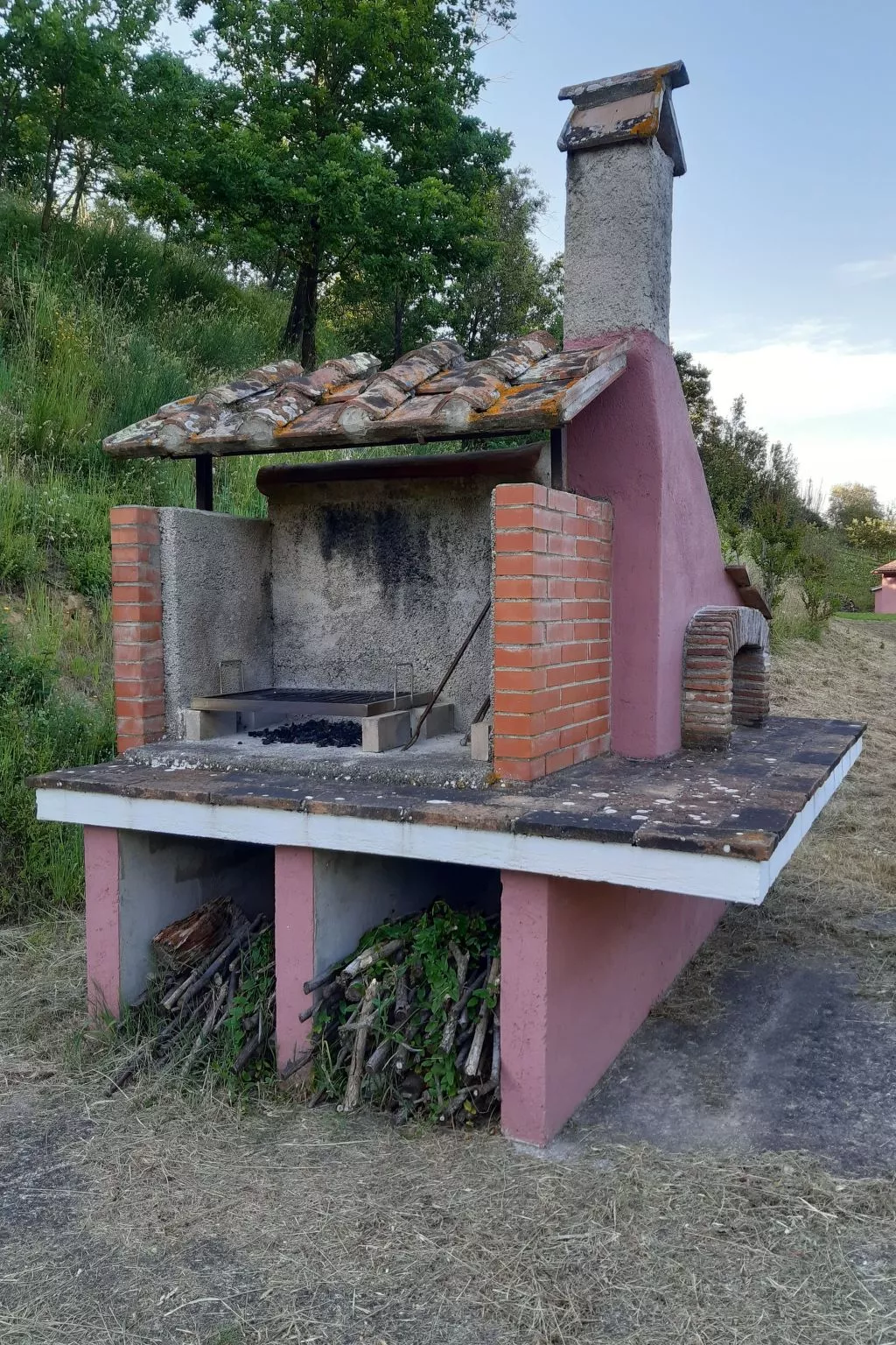 Girasole Haus mit Pool in Fauglia-Buiten