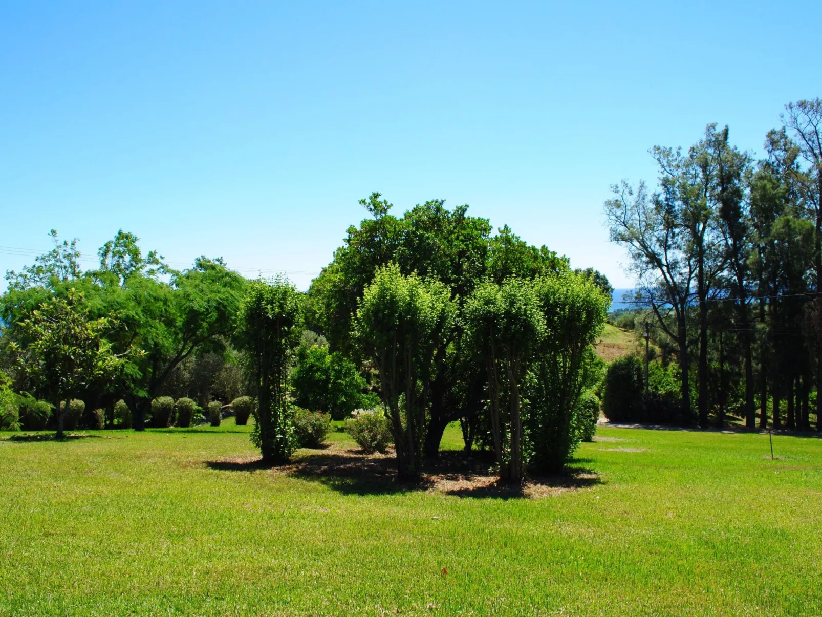 Villa mit Meerblick U Castagnu in geschützter Natur-Binnen