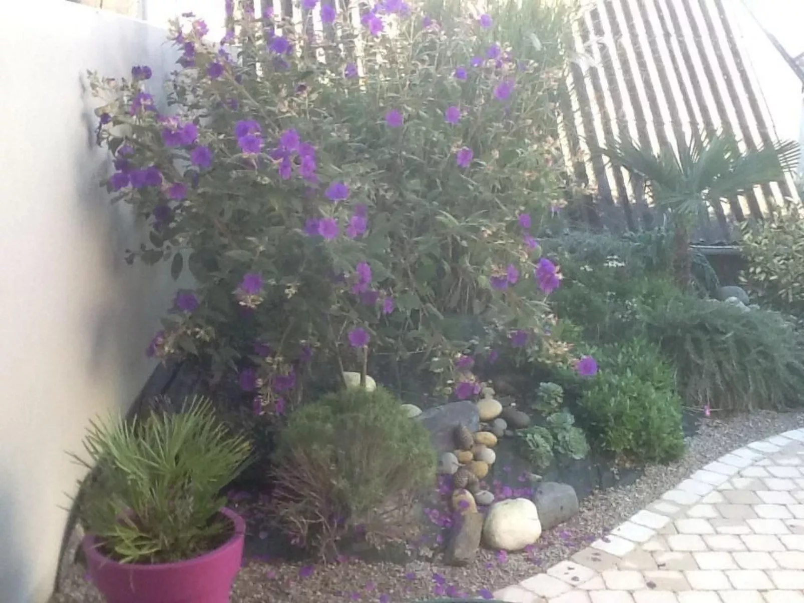 Mit Blick auf das Wasser-Buiten