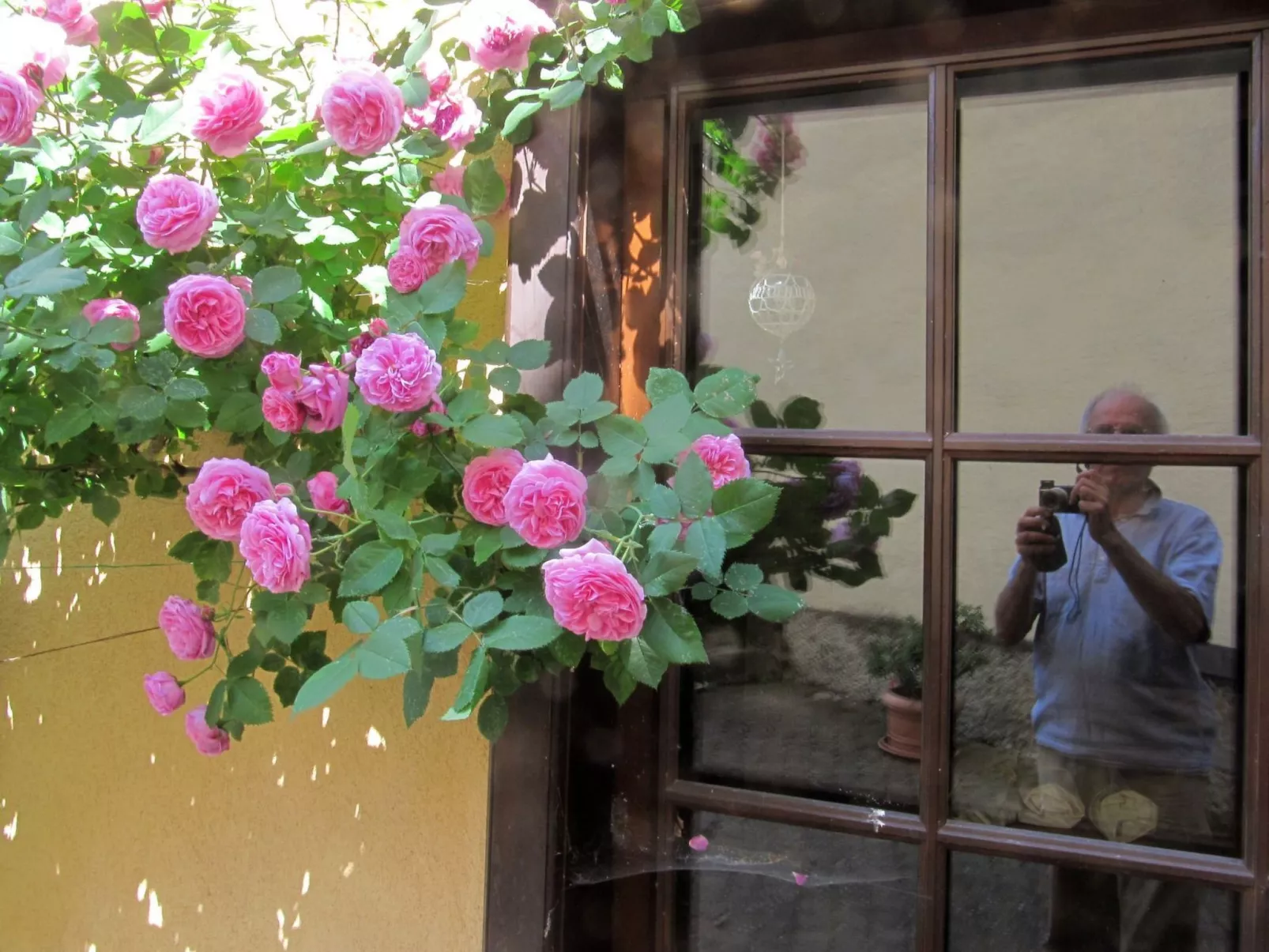 1ed-Face Vosges,au Sud,coeur Vignoble,Calme,WiFi-Buiten