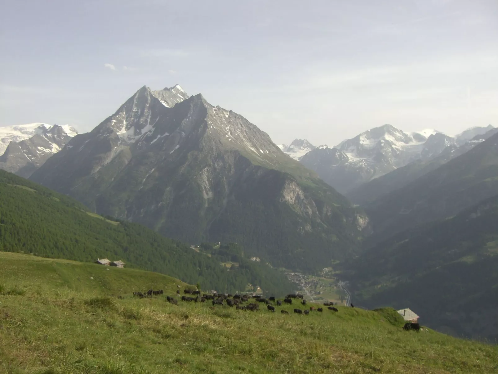 Alp 2100 - Mayen exklusiv-Binnen