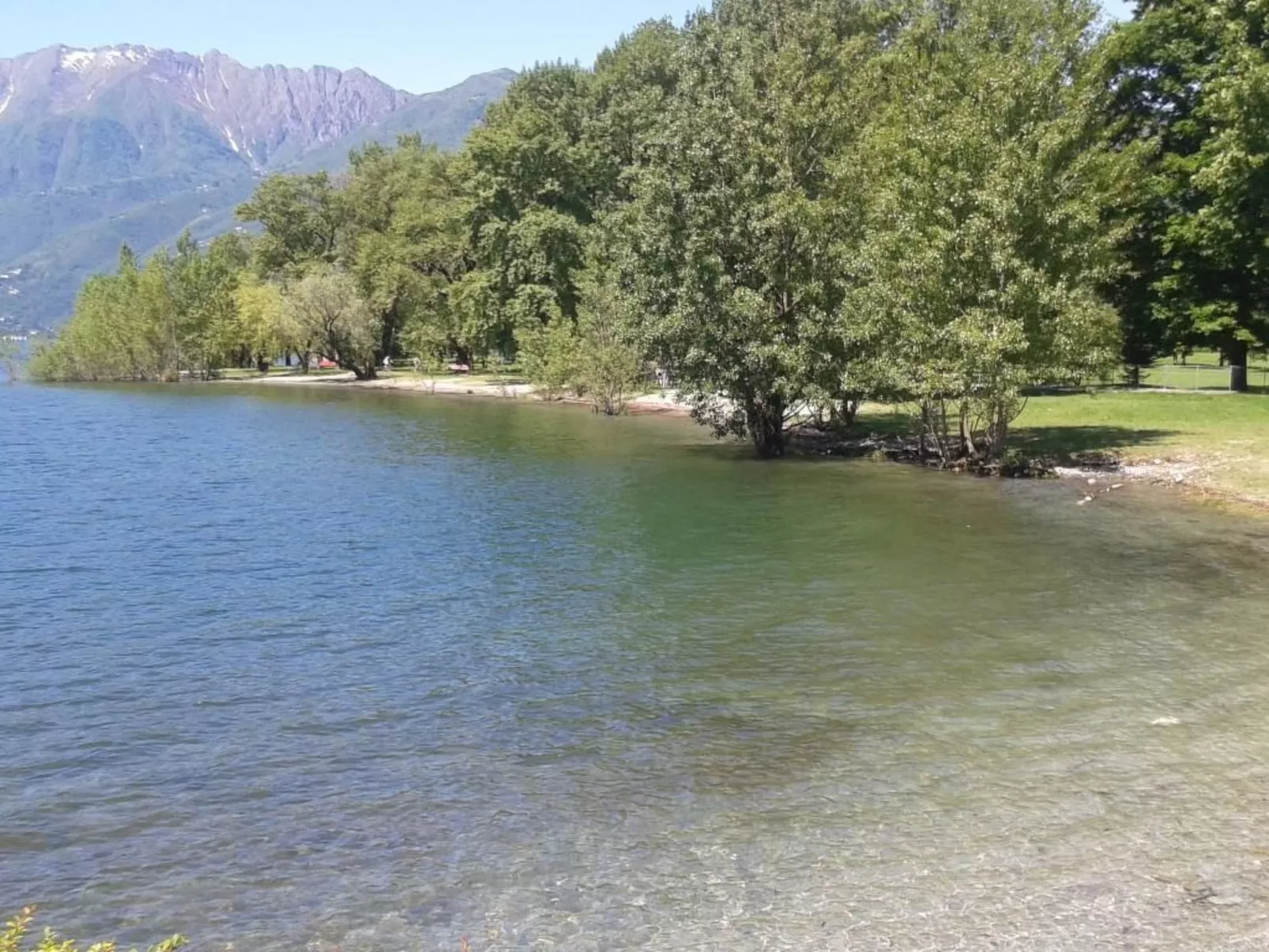 Asconita-Image-tags.info