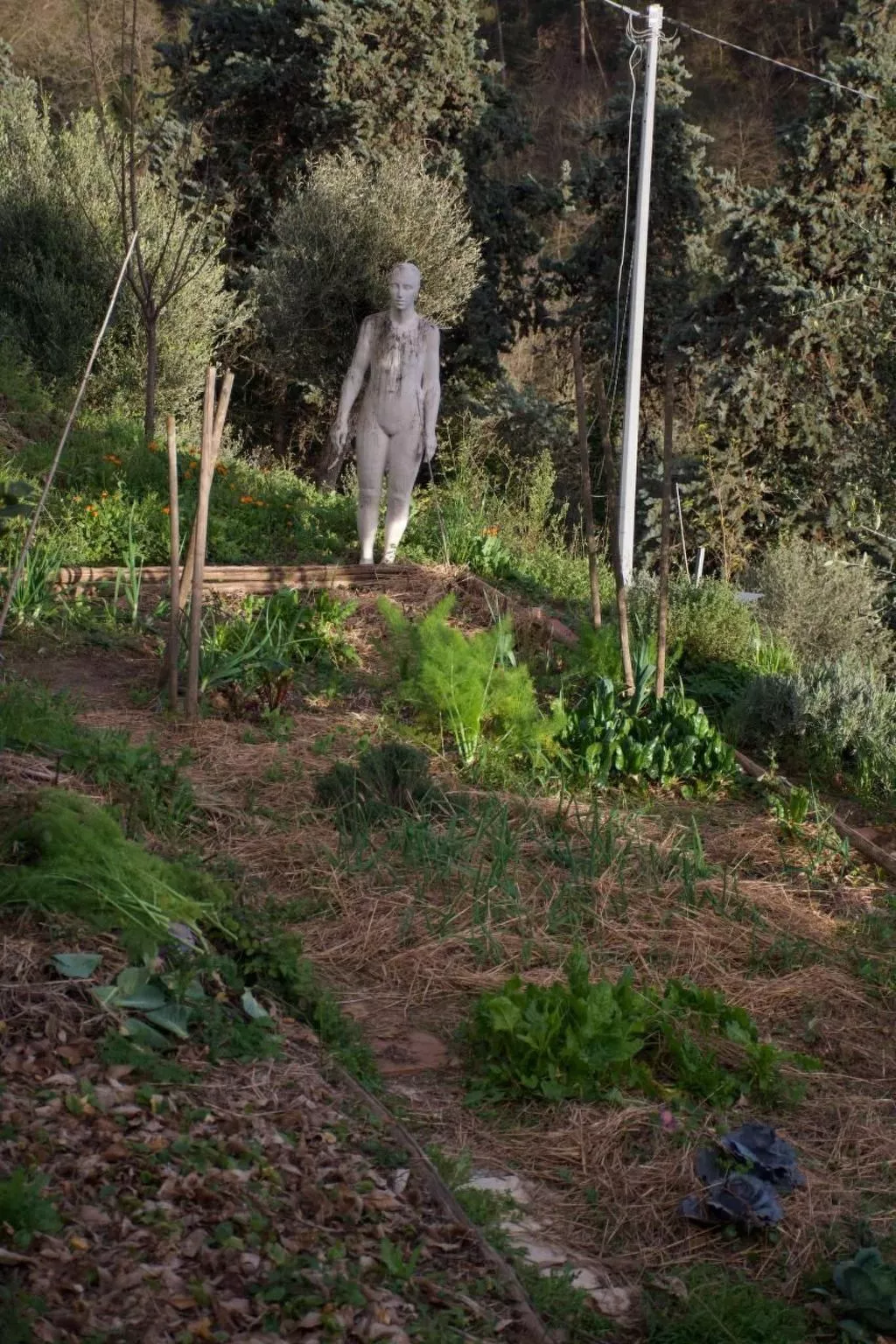 Artist's hill-Binnen