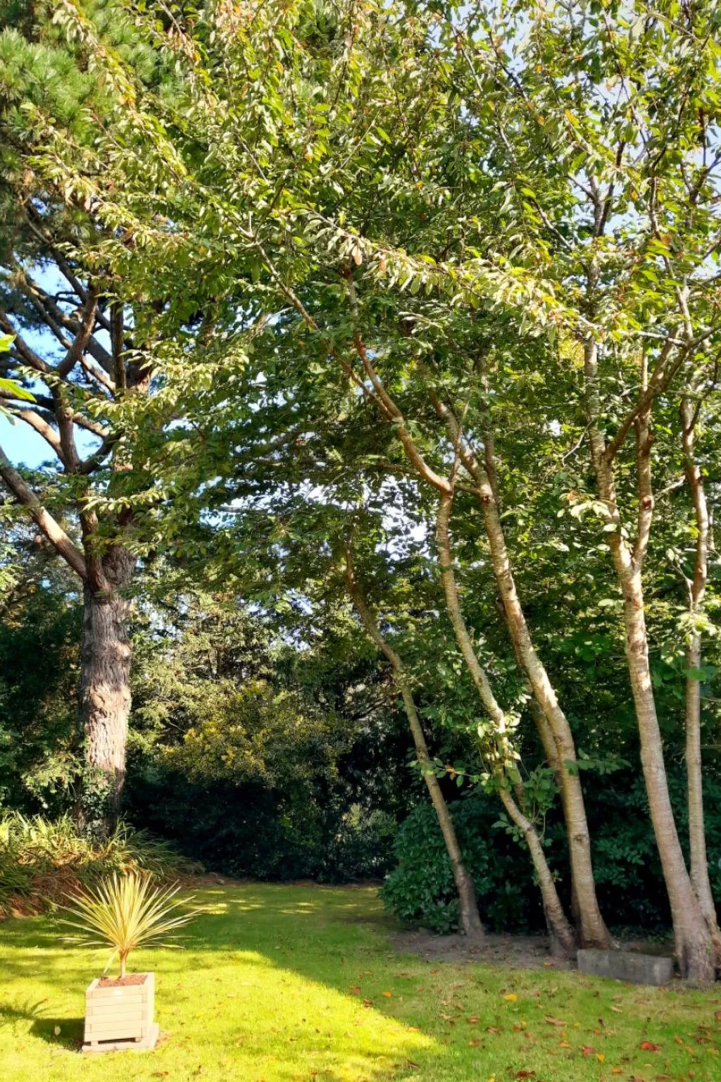 Haus auf der Halbinsel Plougastel-Buiten