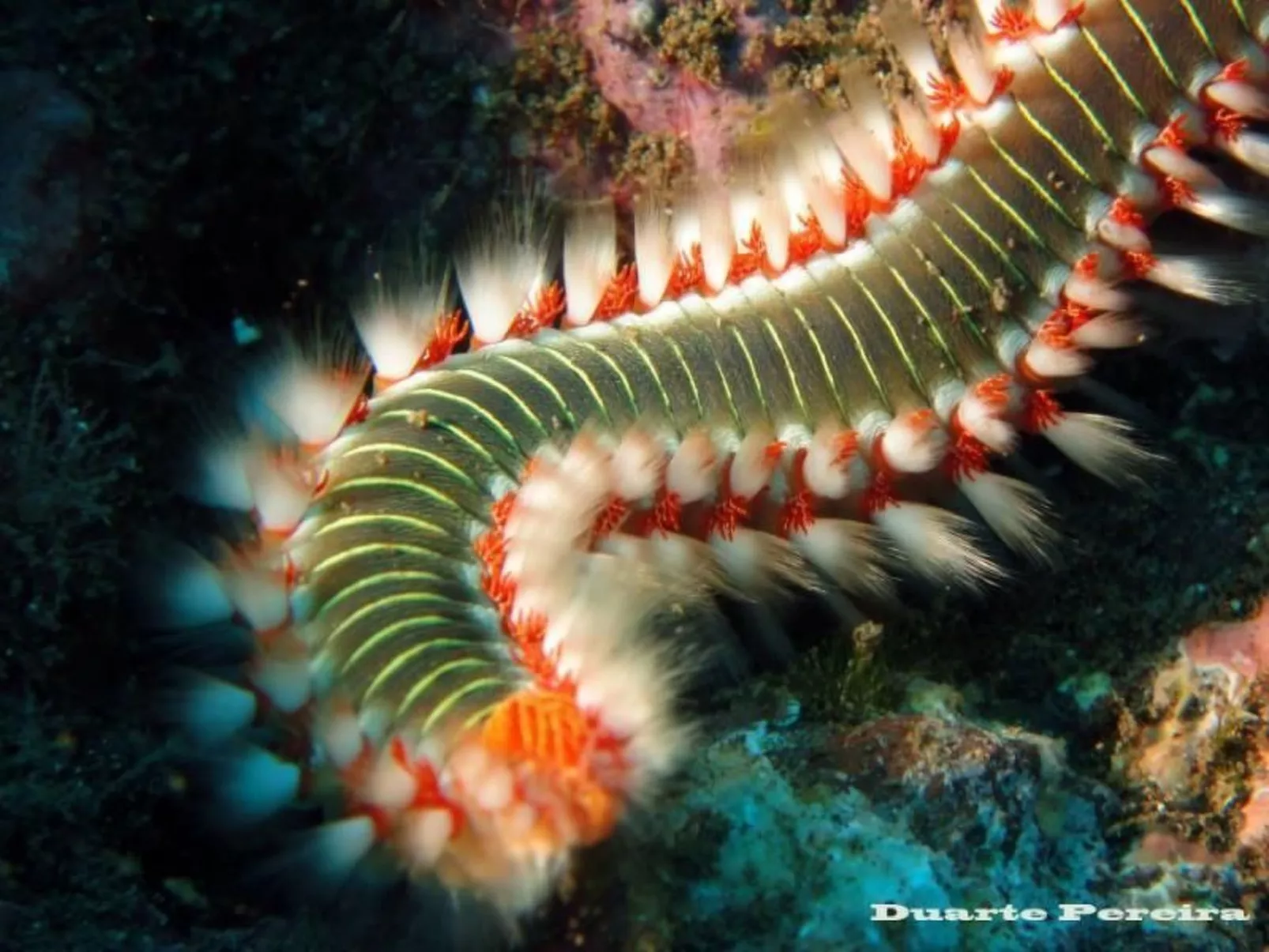 Appartement mit Aussicht auf das Wasser-Image-tags.info