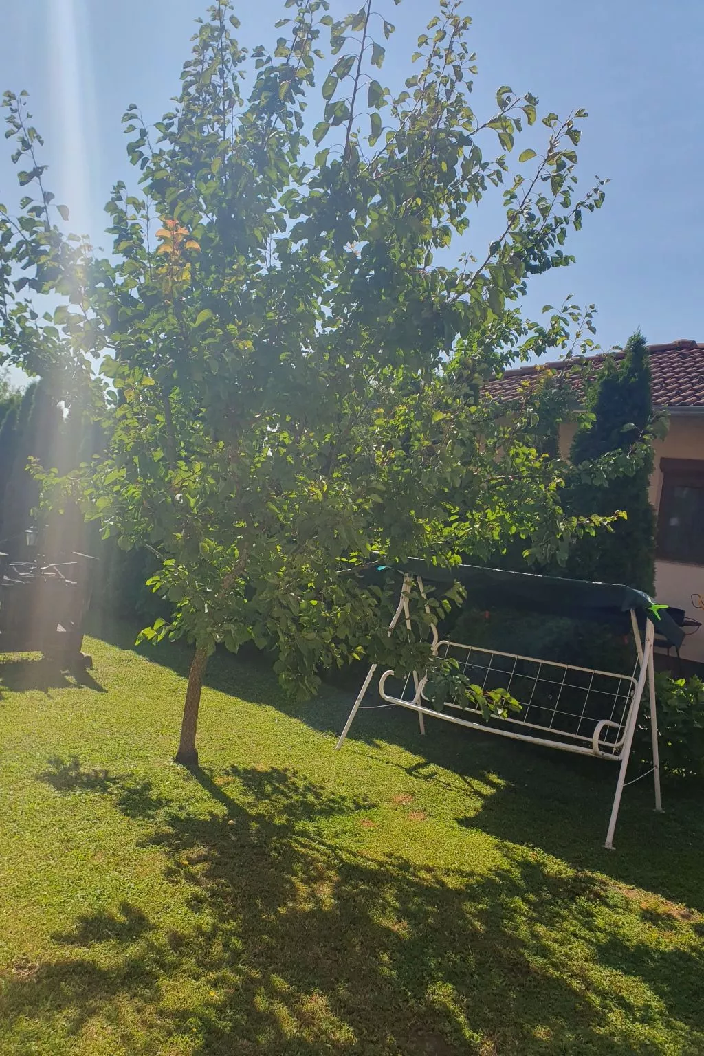 Mit Blick auf das Wasser-Buiten