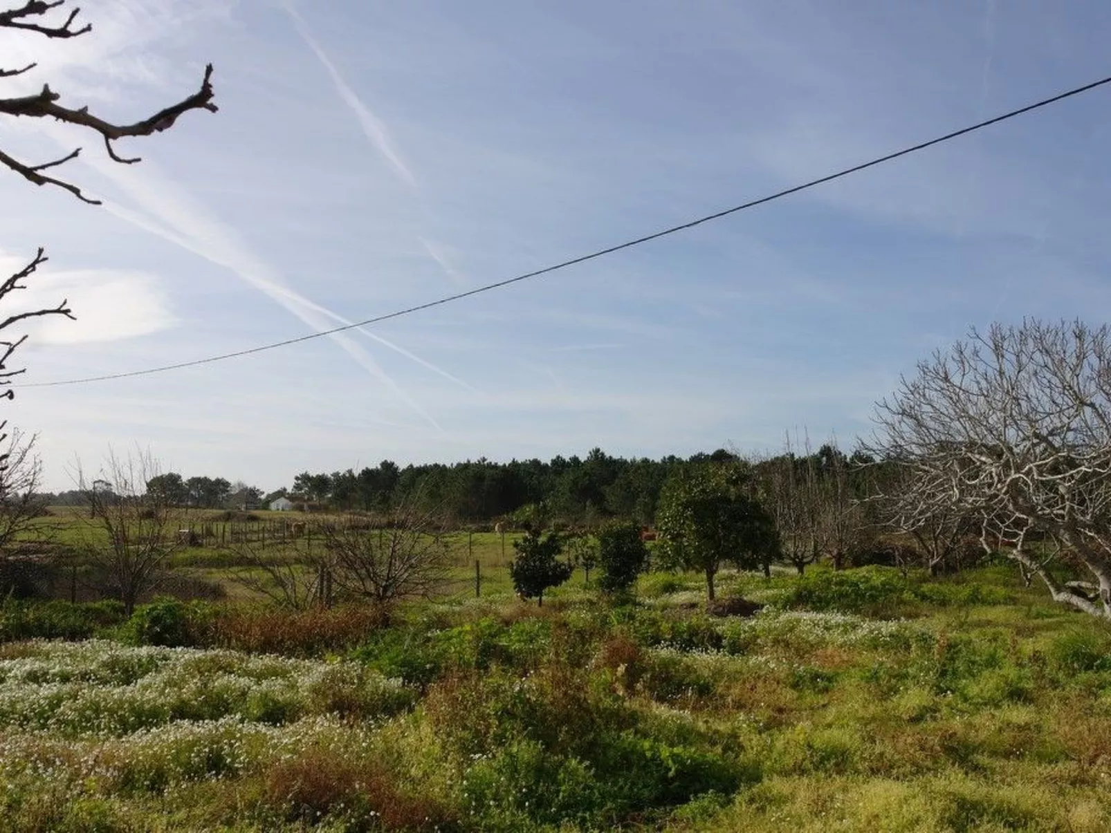 Charmantes Ferienhaus mit schöner Aussicht, 2 Schlafzimmer-Buiten