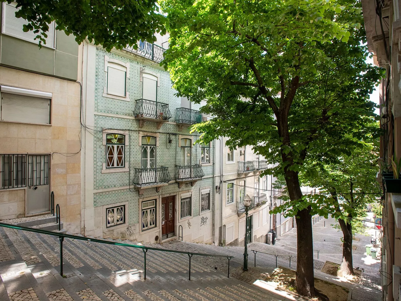 Baum Liverpooler Terrasse-Image-tags.info