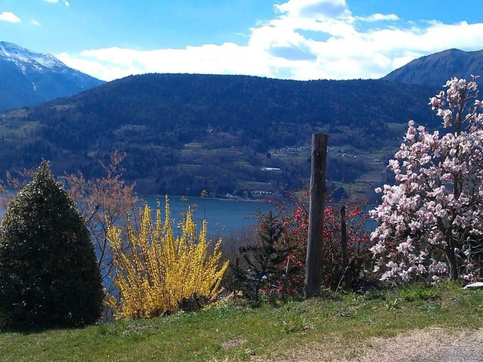 'Irma'-Image-tags.info