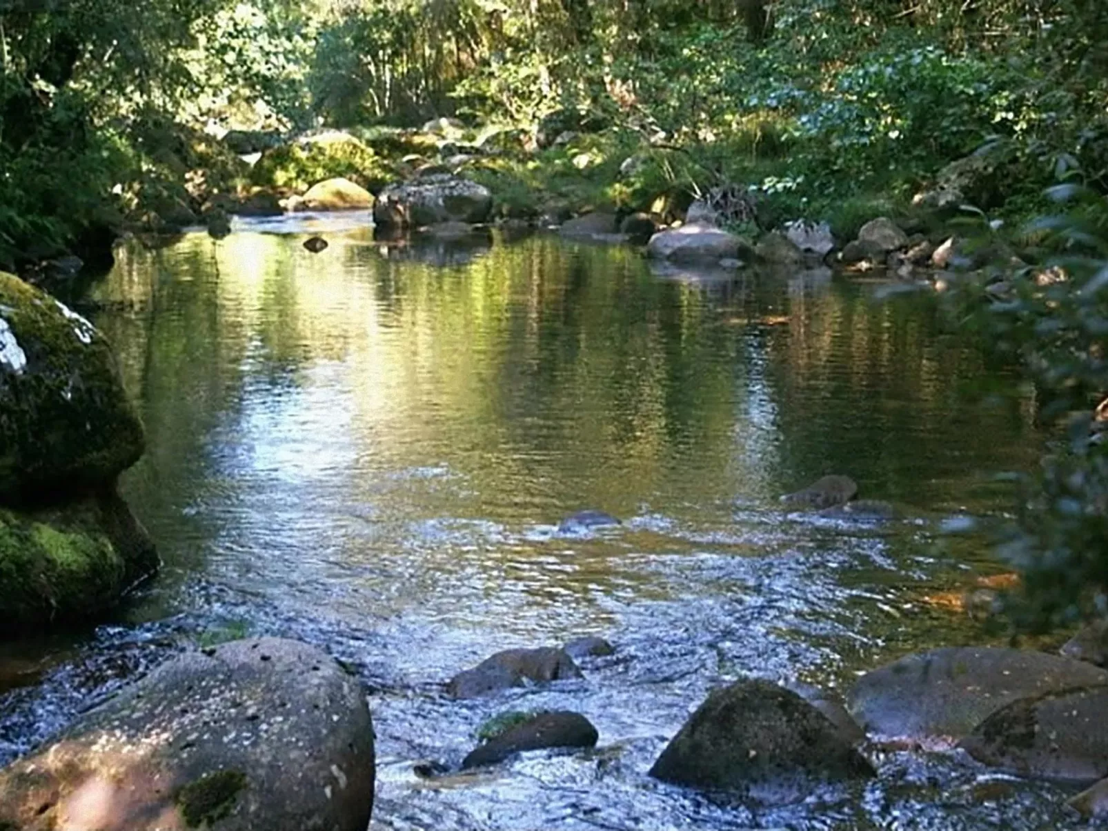 "Großmutters Häuschen" mit überdachter Terrasse-Buiten