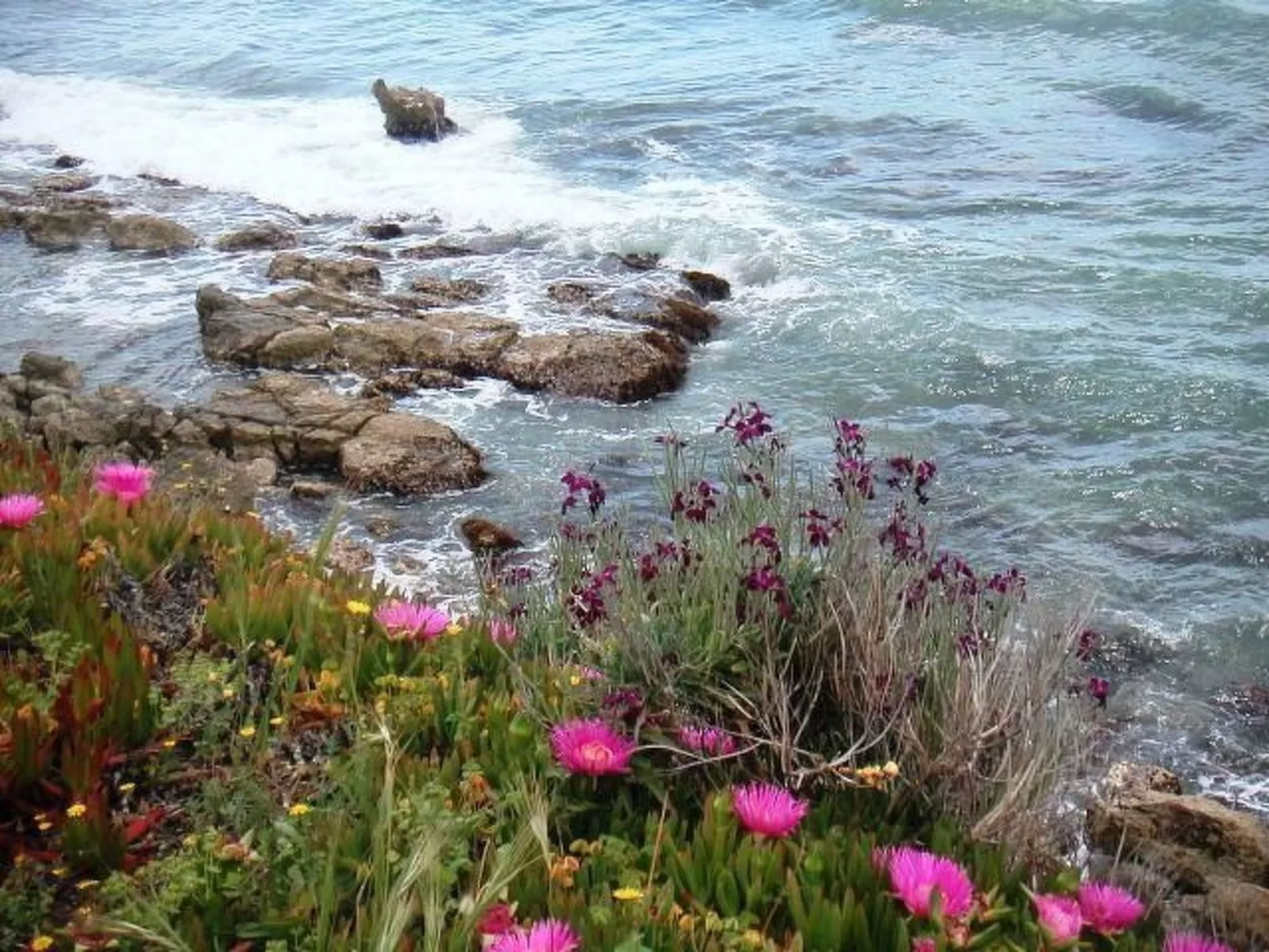 Steinhaus mit Panoramadachterrasse-Binnen