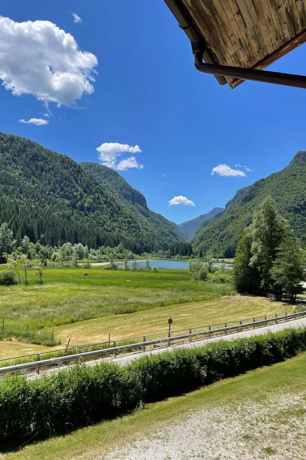 Gesegnet wie Frösche auf einem Seerosenblatt-Buiten