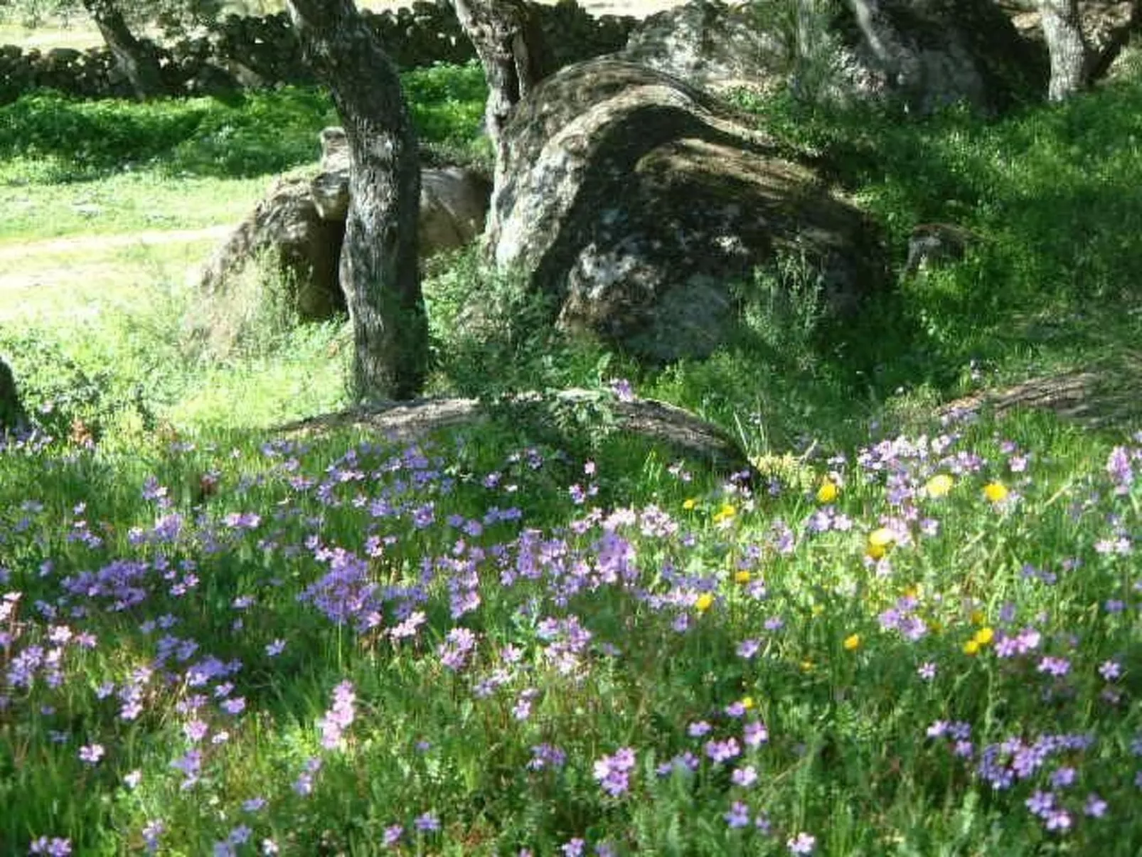 Das Cortijo auf der Finca al-manzil-Image-tags.info